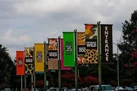 Shoot & Play Date™ Houston: February 11, 2020 Houston Zoo {Houston, Texas}