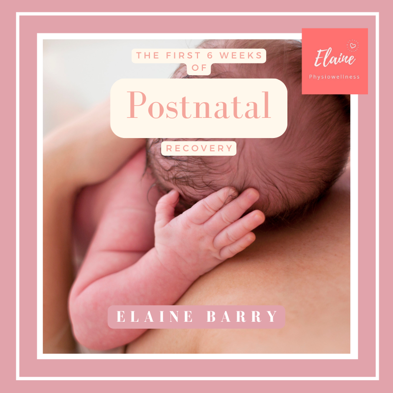 The First Six weeks Postnatal