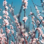 pexels-craveiro-pics-3820994-150x150.jpg