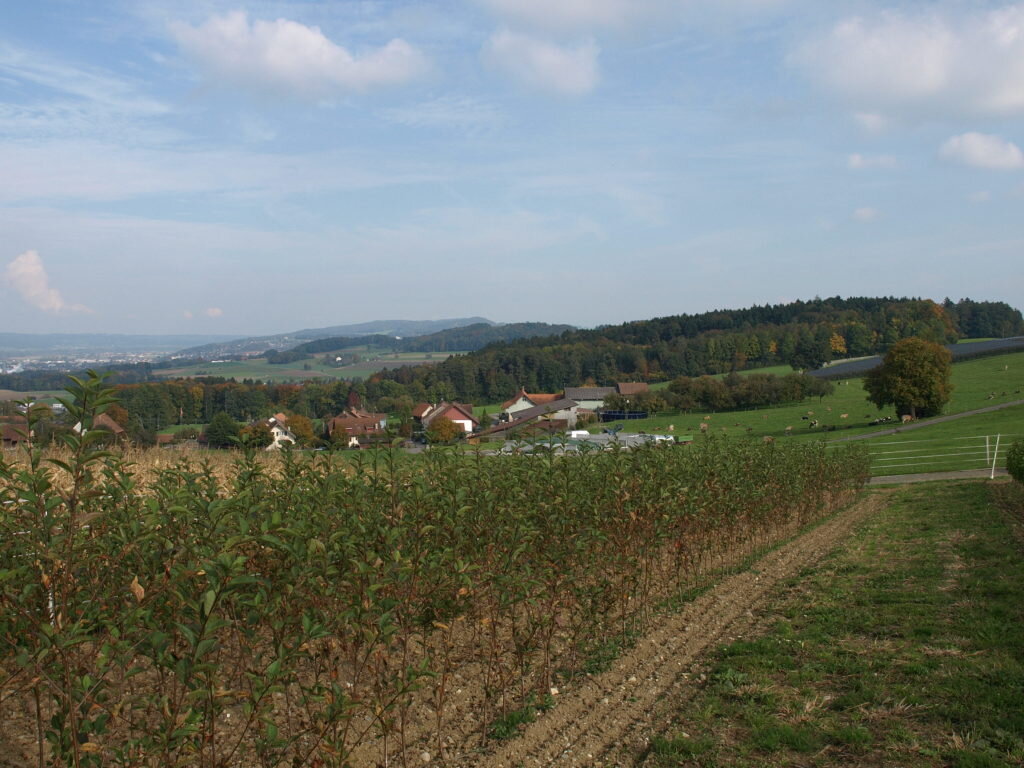 galerie-baumschule-7-1024x768.jpg