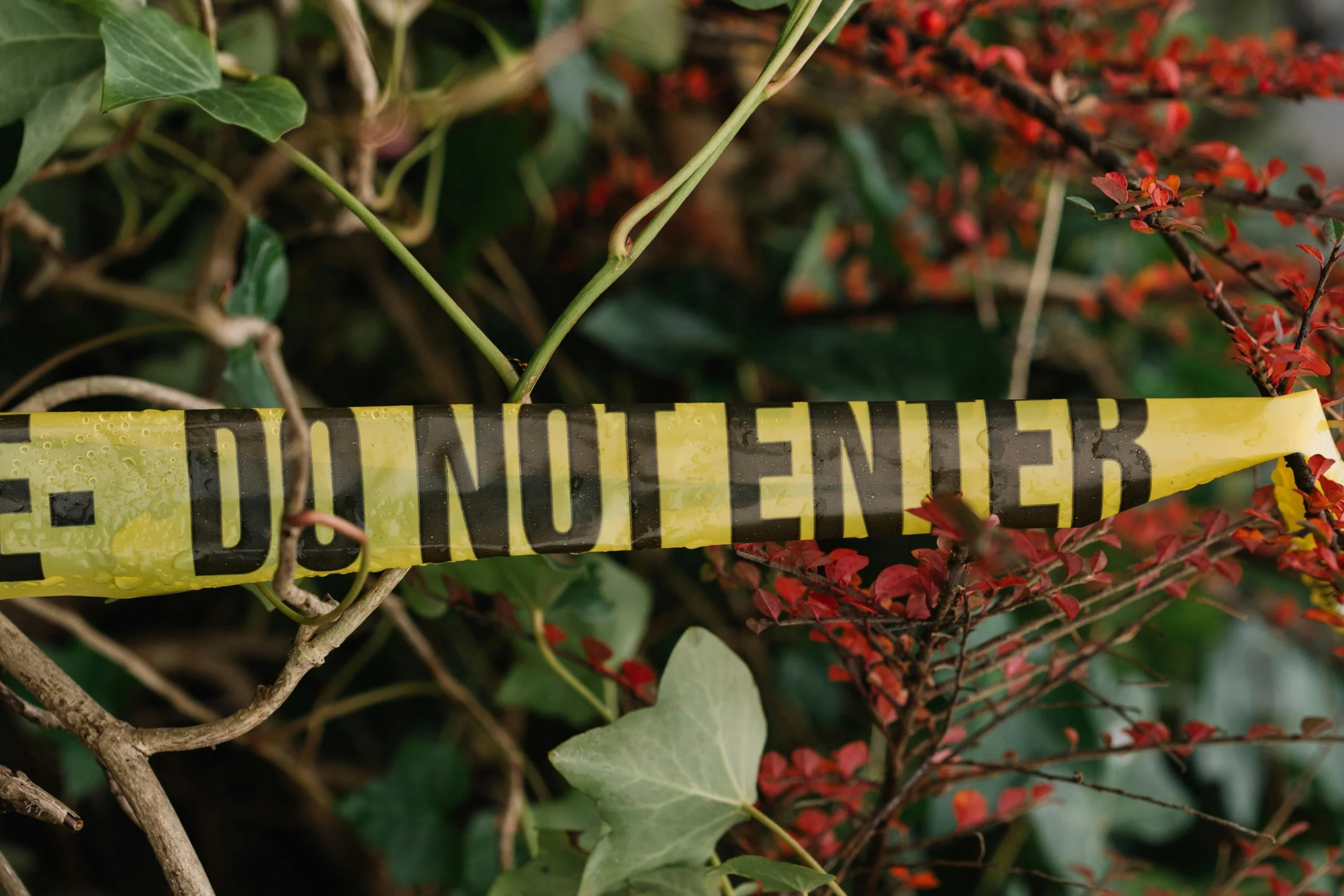 The Missing Defendant: A Rationale for Corporate Criminal Liability for Ecocide under the Rome Statute