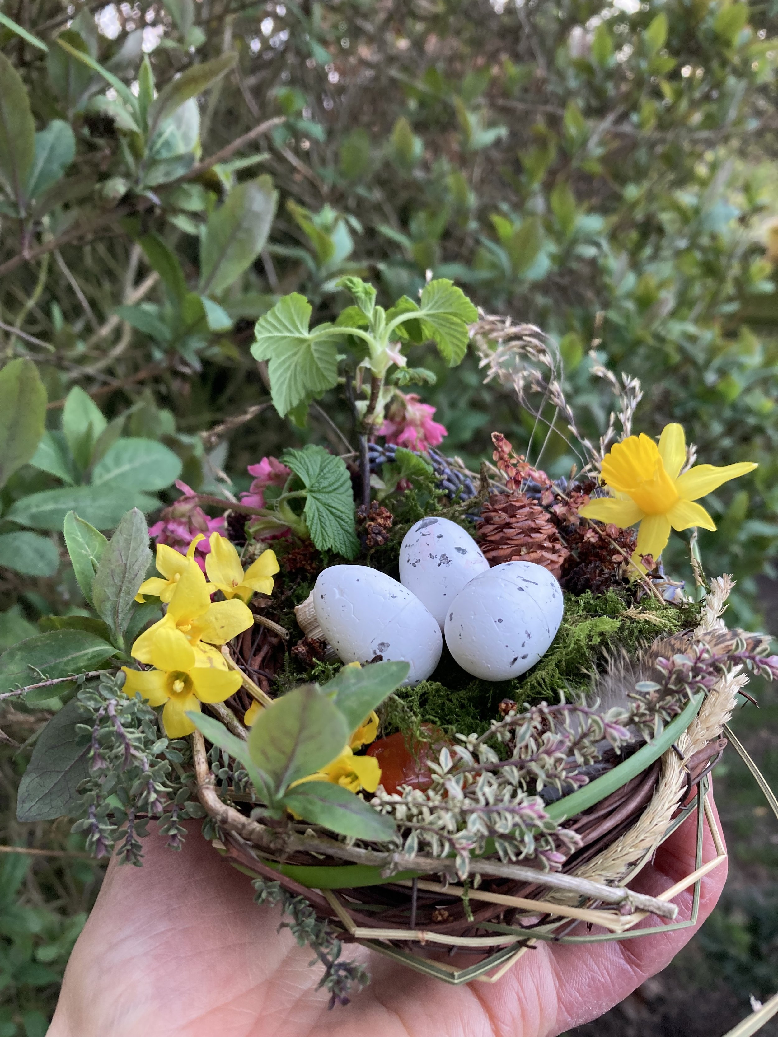 Following the Flow. Yoga to connect with the seasons. Spring Equinox