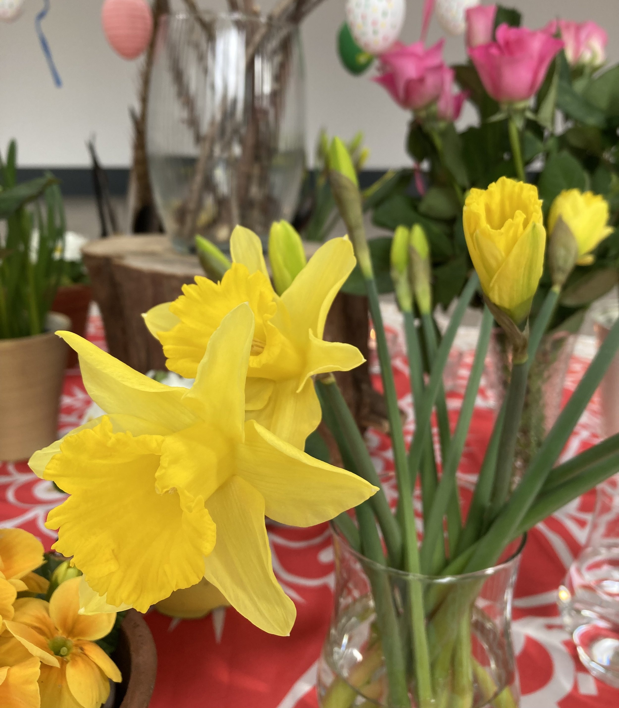 Newsletter April 2025