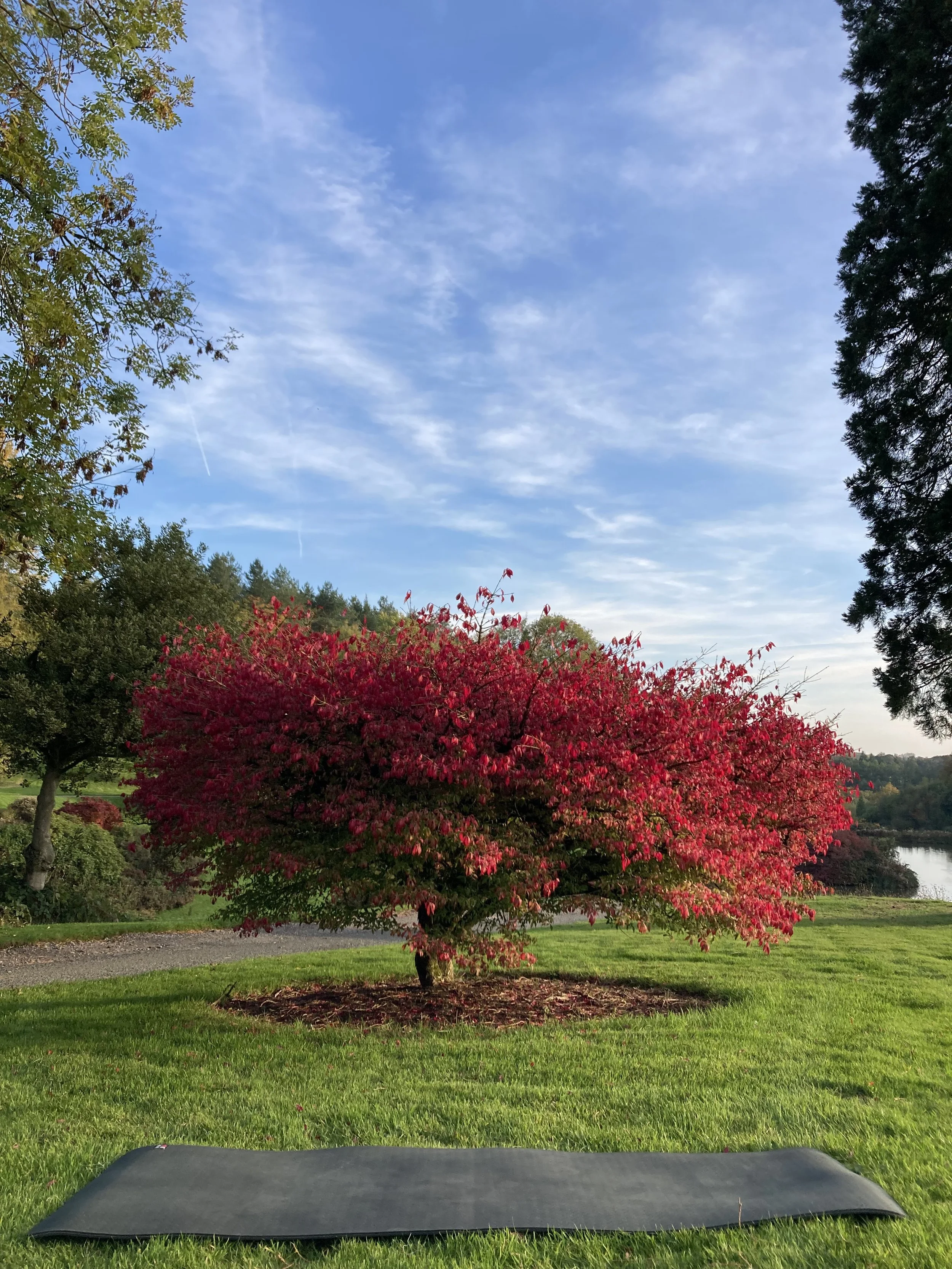 Newsletter October 2025
