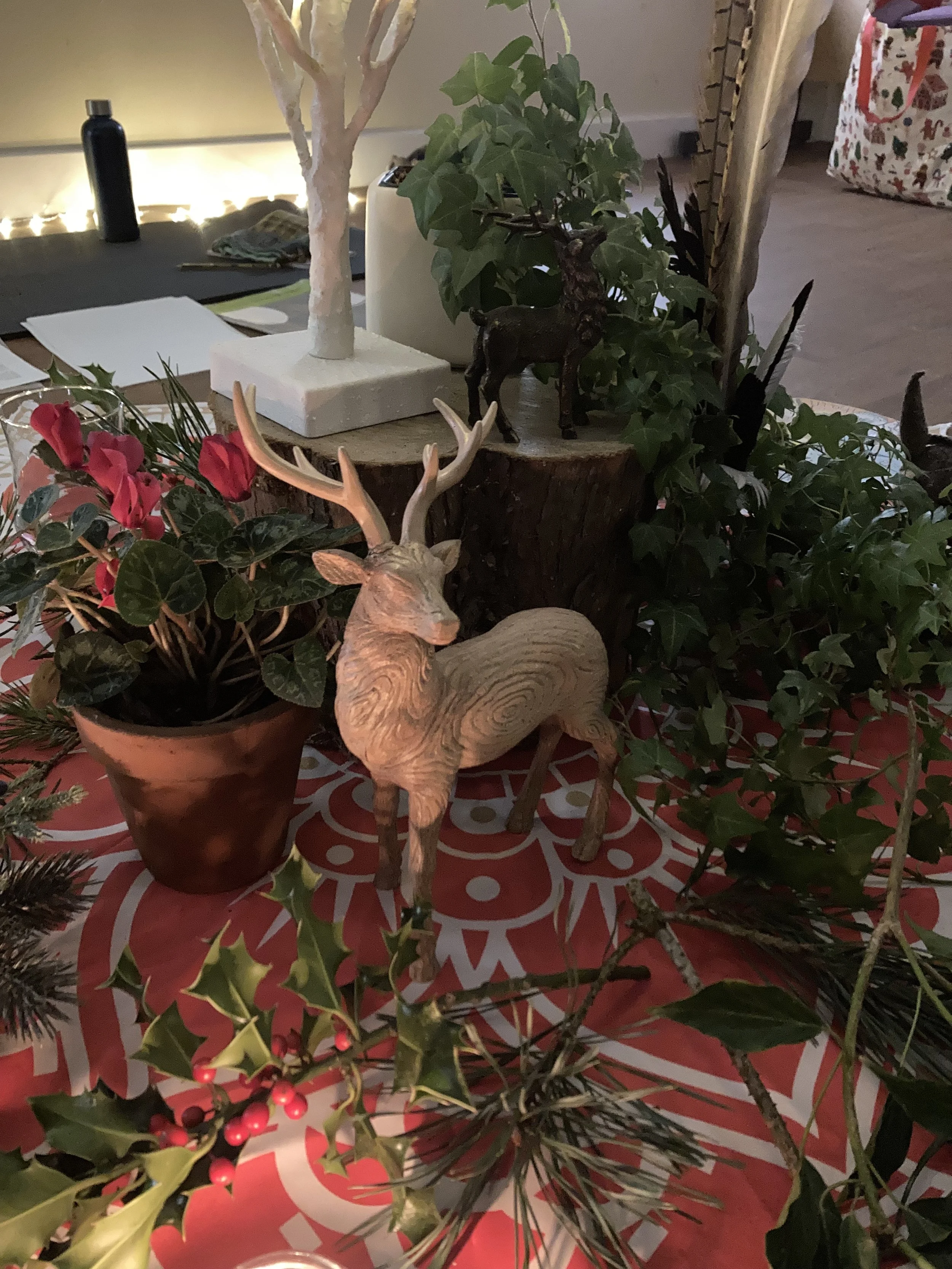 Newsletter December 2025 