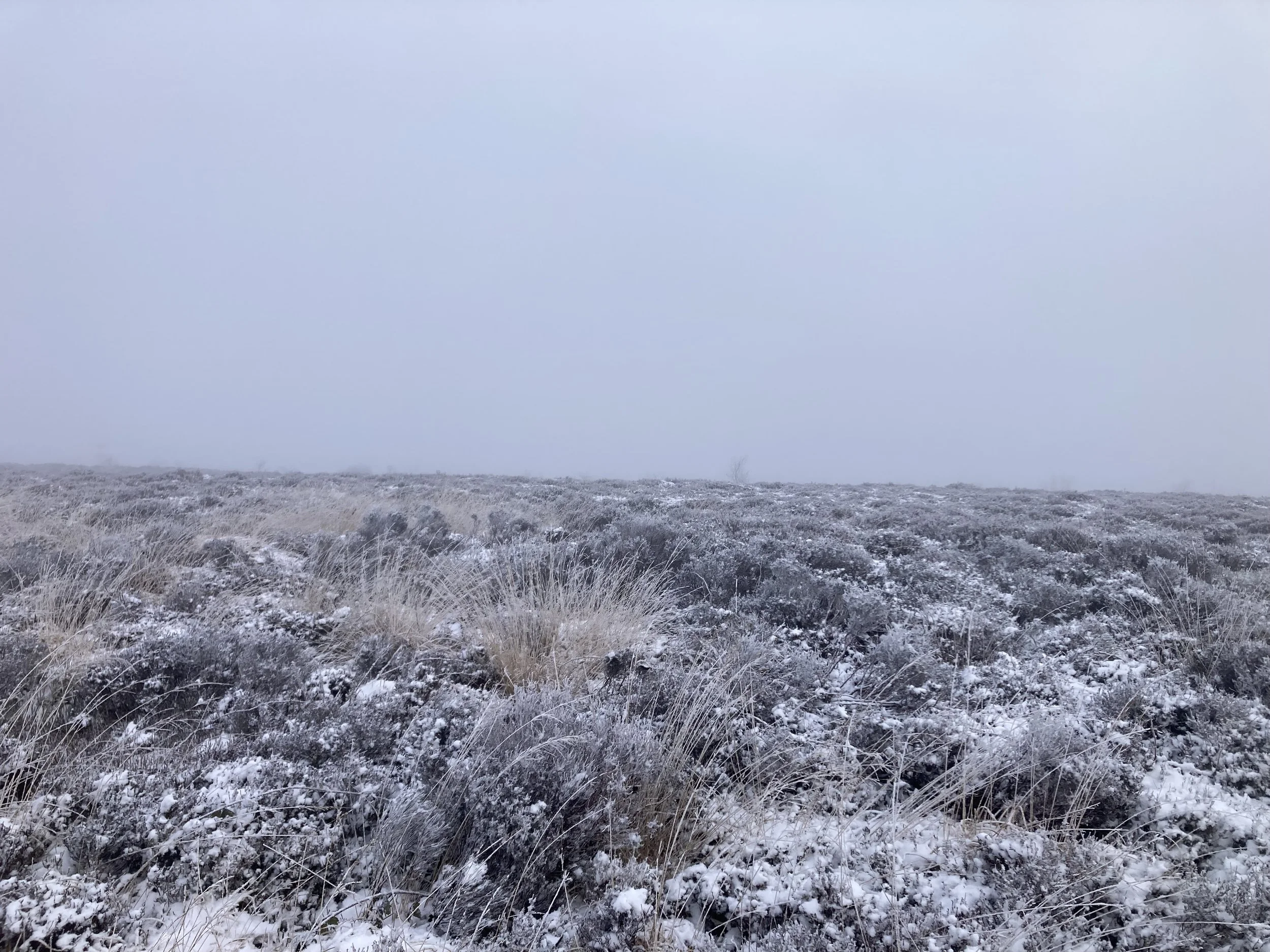 Newsletter January 2026