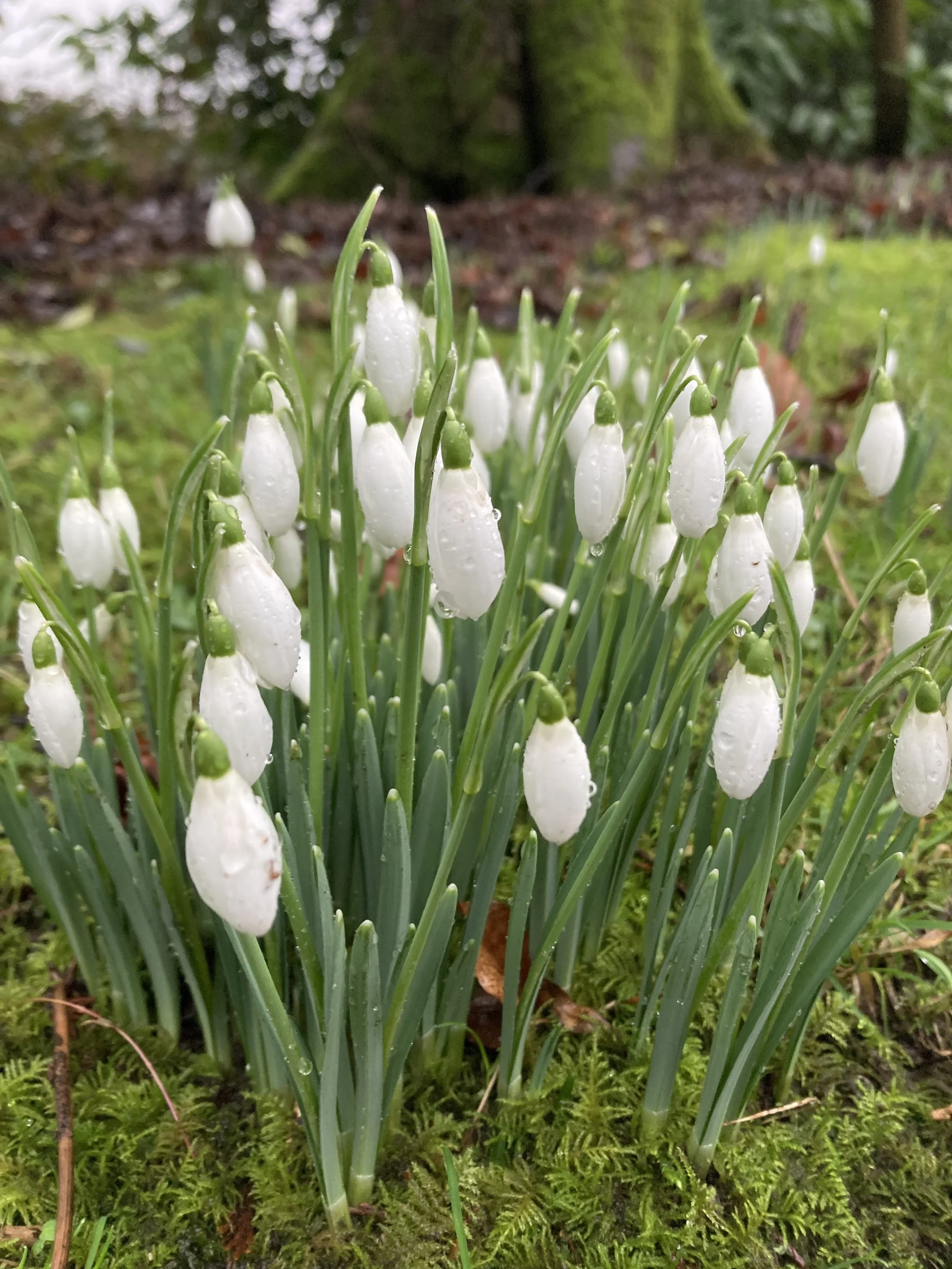 Newsletter February 2026