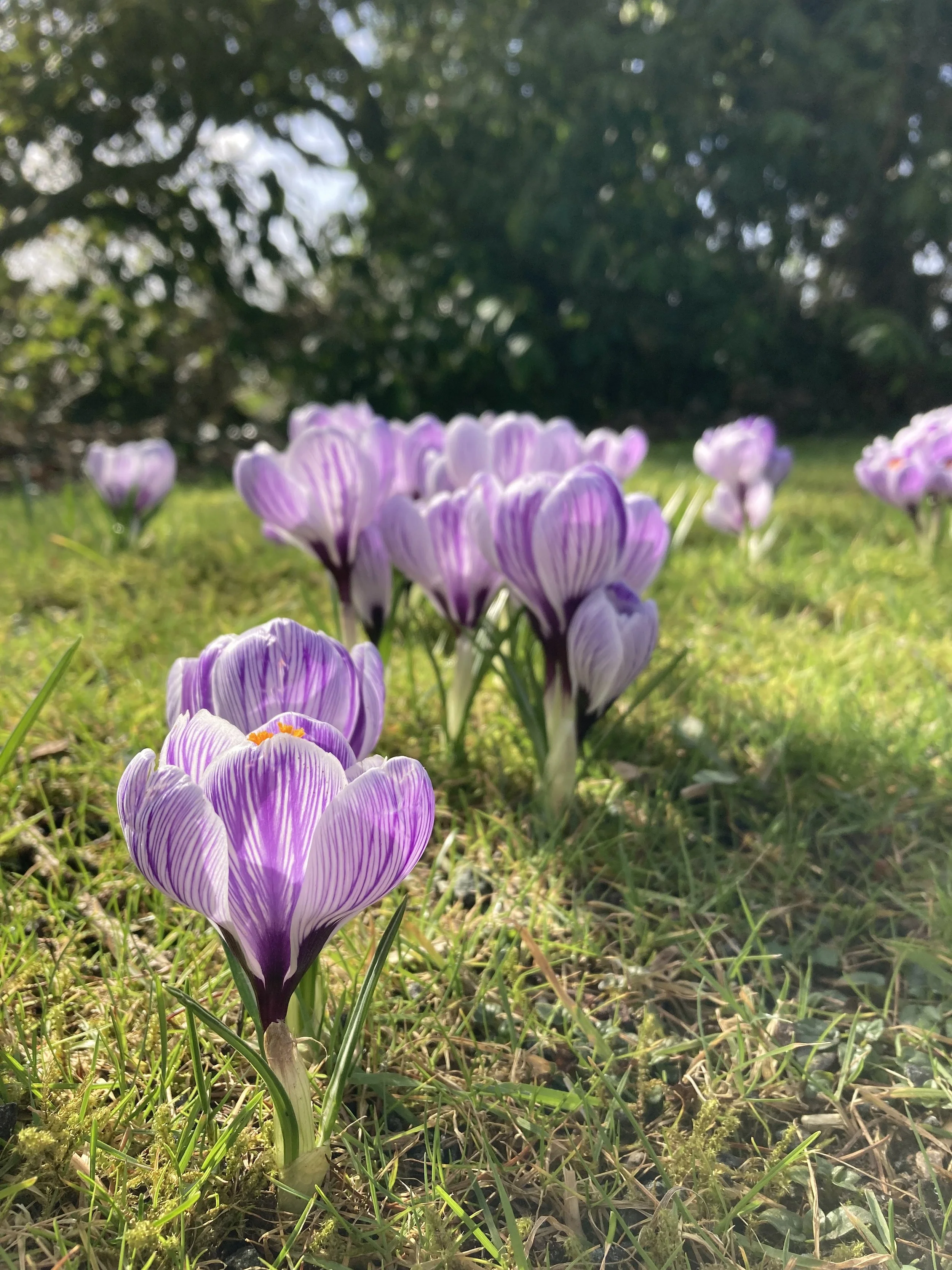 Newsletter 22nd February 2026