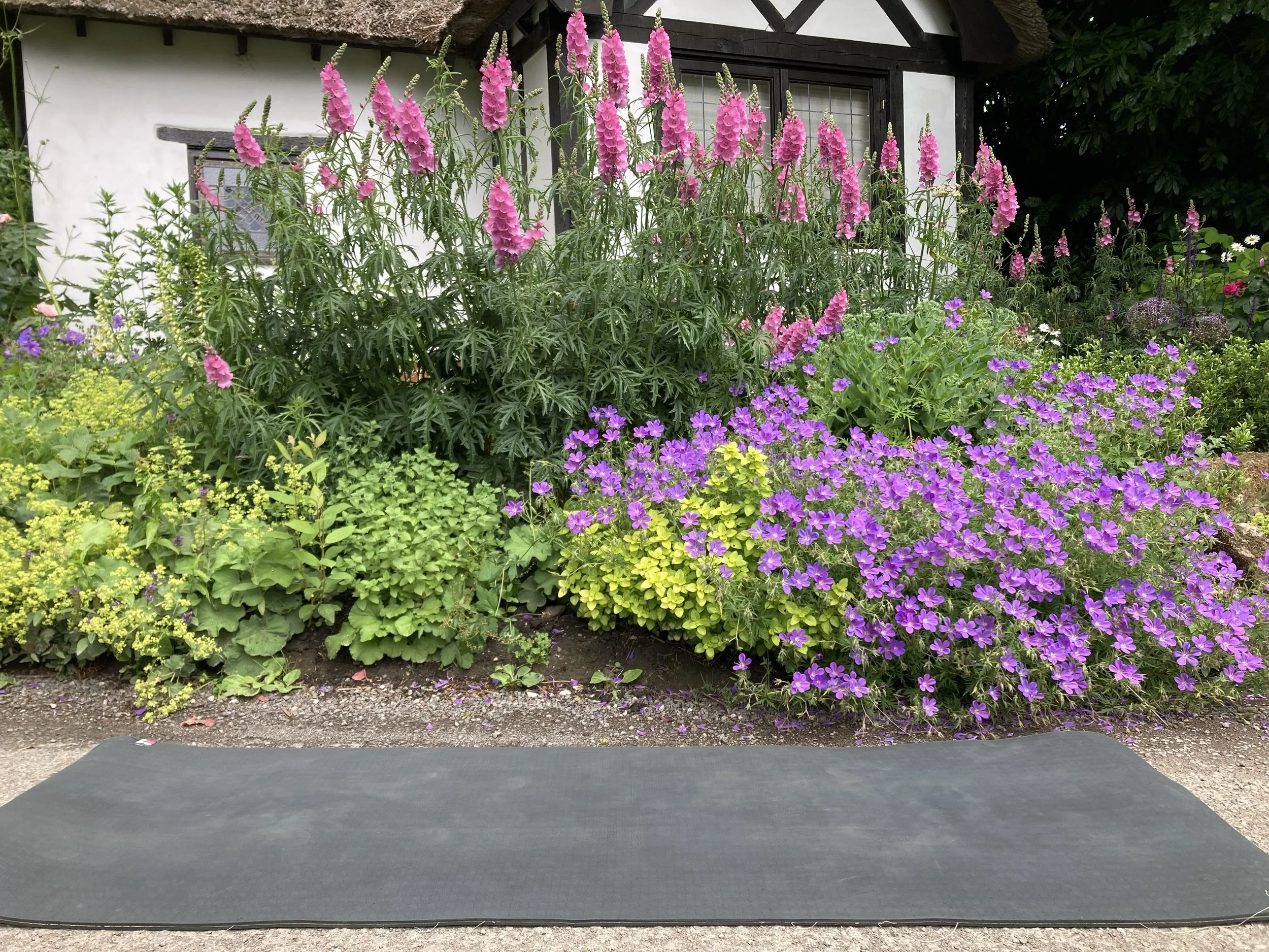A Journey from Root to Crown - a Yoga and Herbal Medicine workshop. 