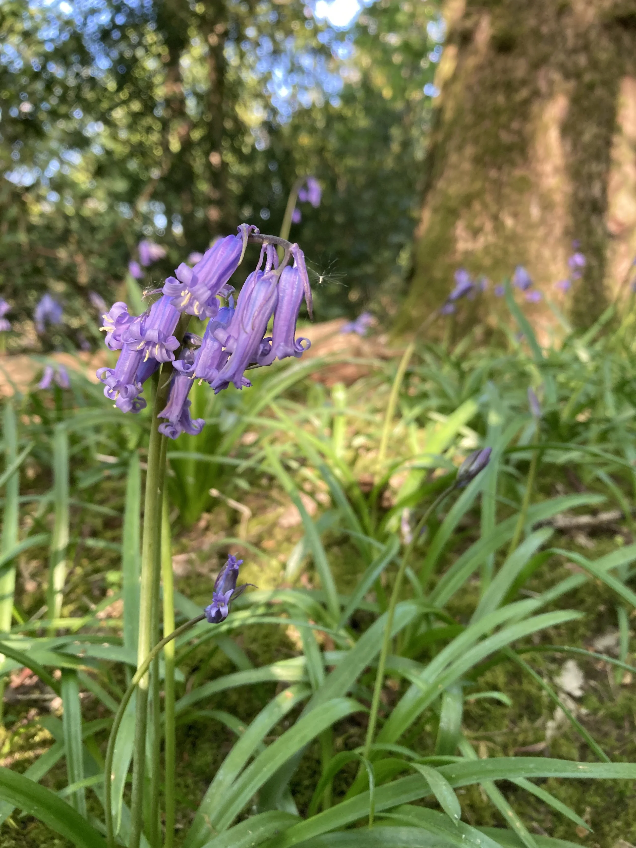 Newsletter April 2026