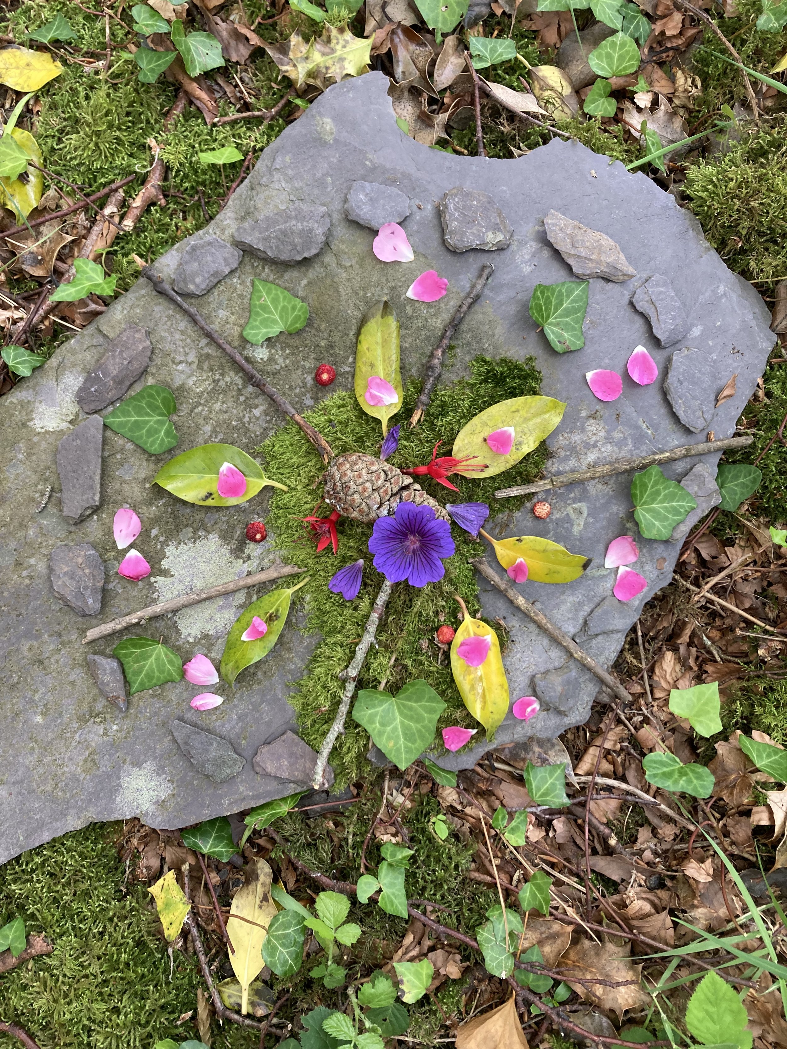 Newsletter 19th June 2026