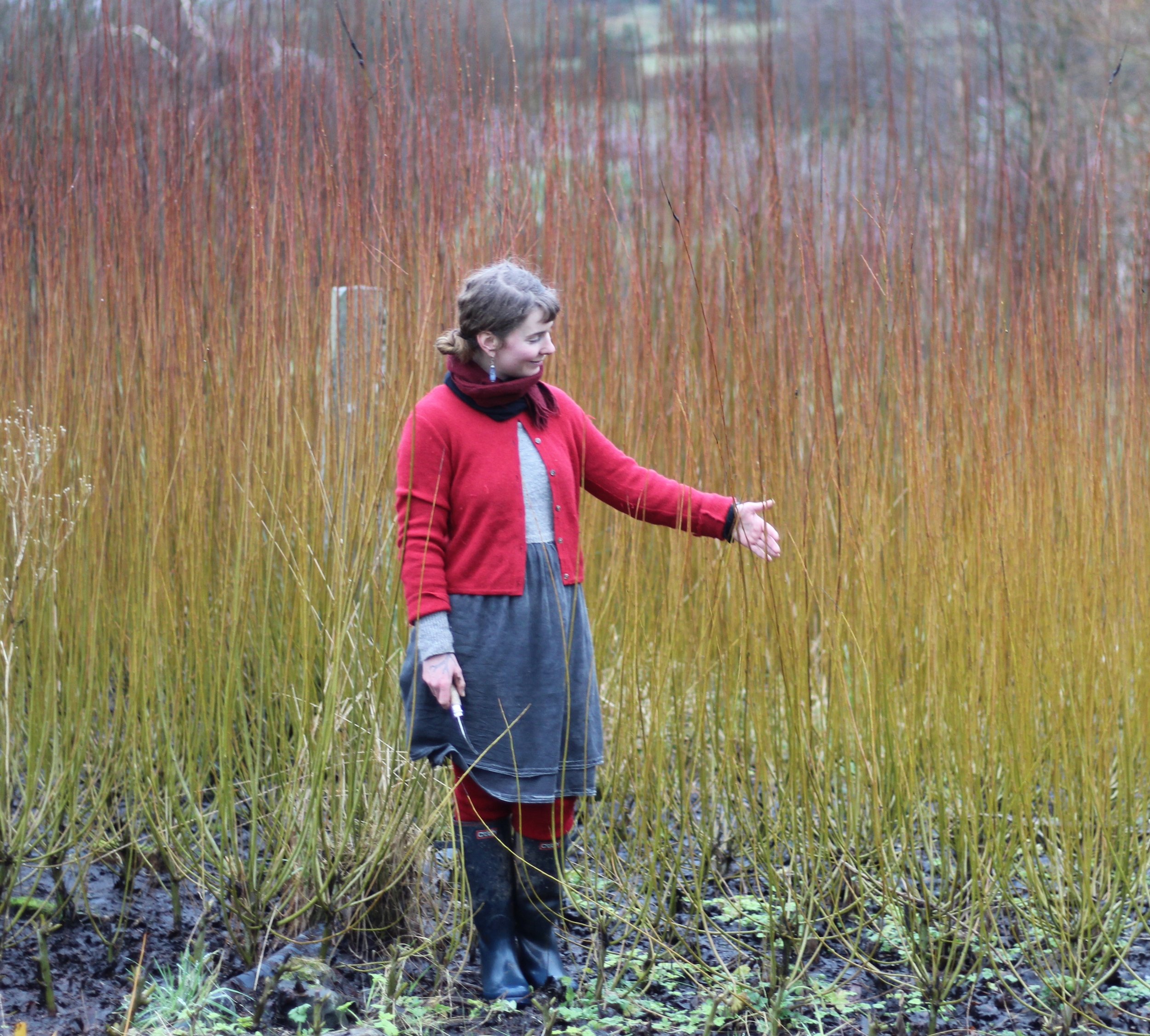 Basket Weaving Workshop - Saturday May 28th - 10 am to 5pm