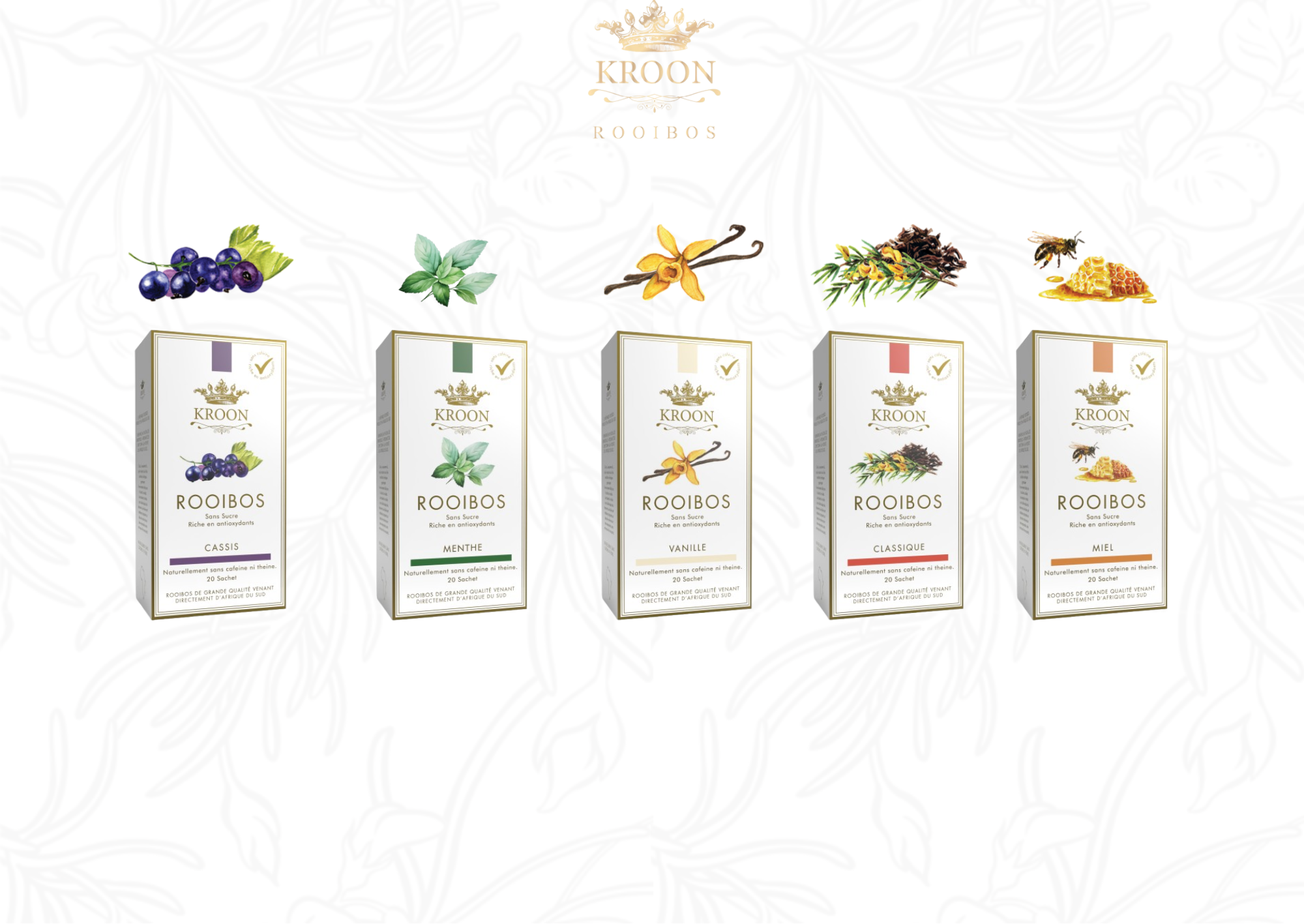 Pack Variété Kroon (Lot de 5)