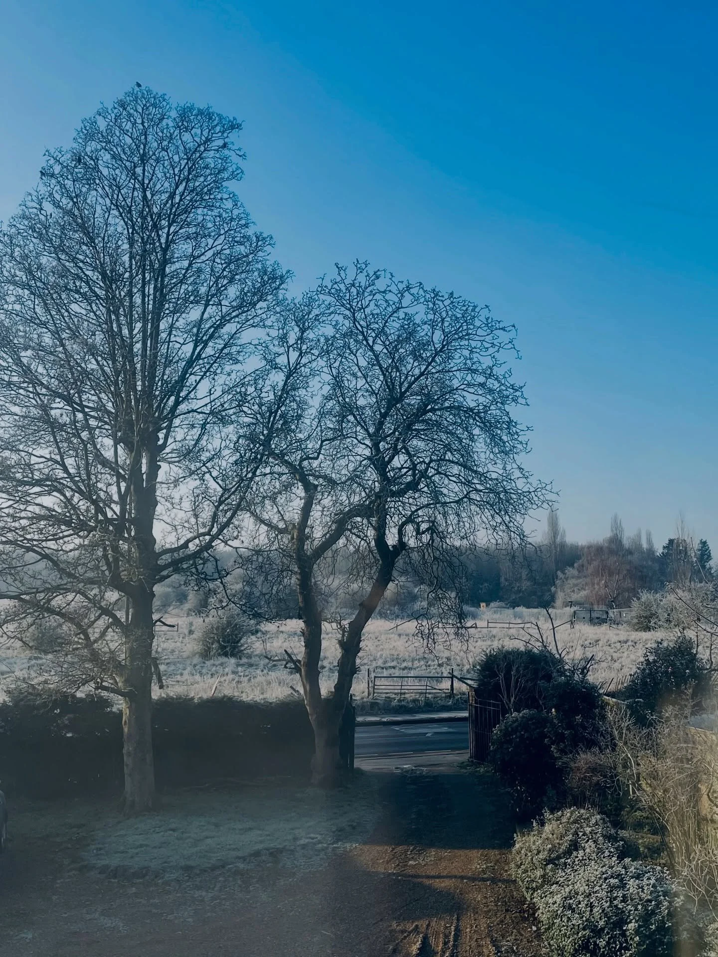 Amongst the lows that life brings disguised as lessons, these are just some of the beautiful memories which conversed into a sense of happiness in 2025.  Forever grateful for these moments 🫶, treasured and  forever etched in our hearts&hellip;.roll 