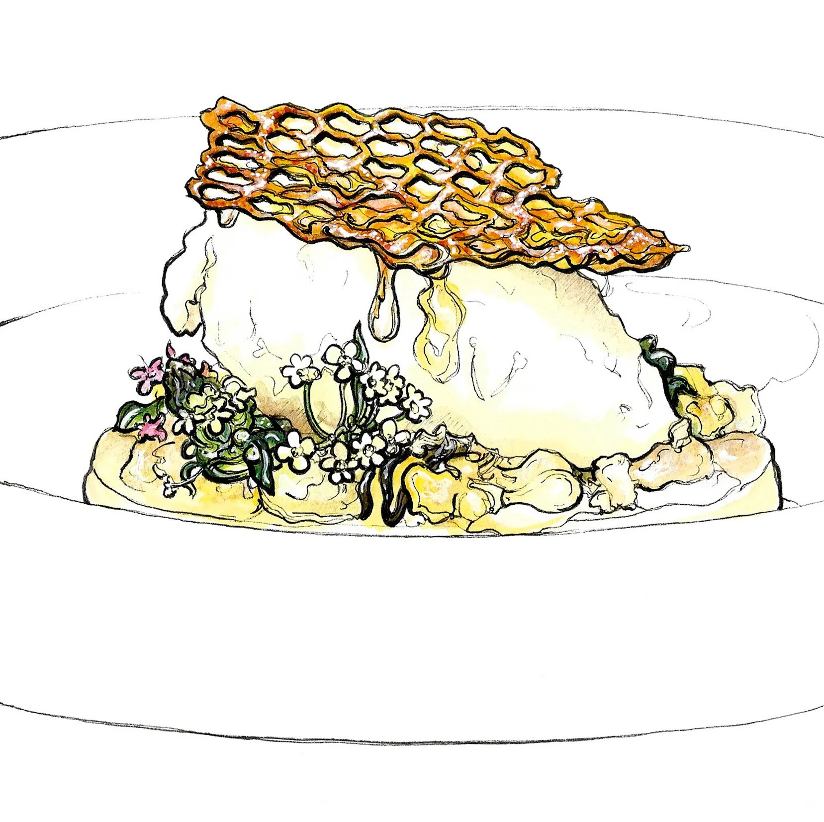 Food for Bowleys at The Plough, Trottiscliffe, Kent