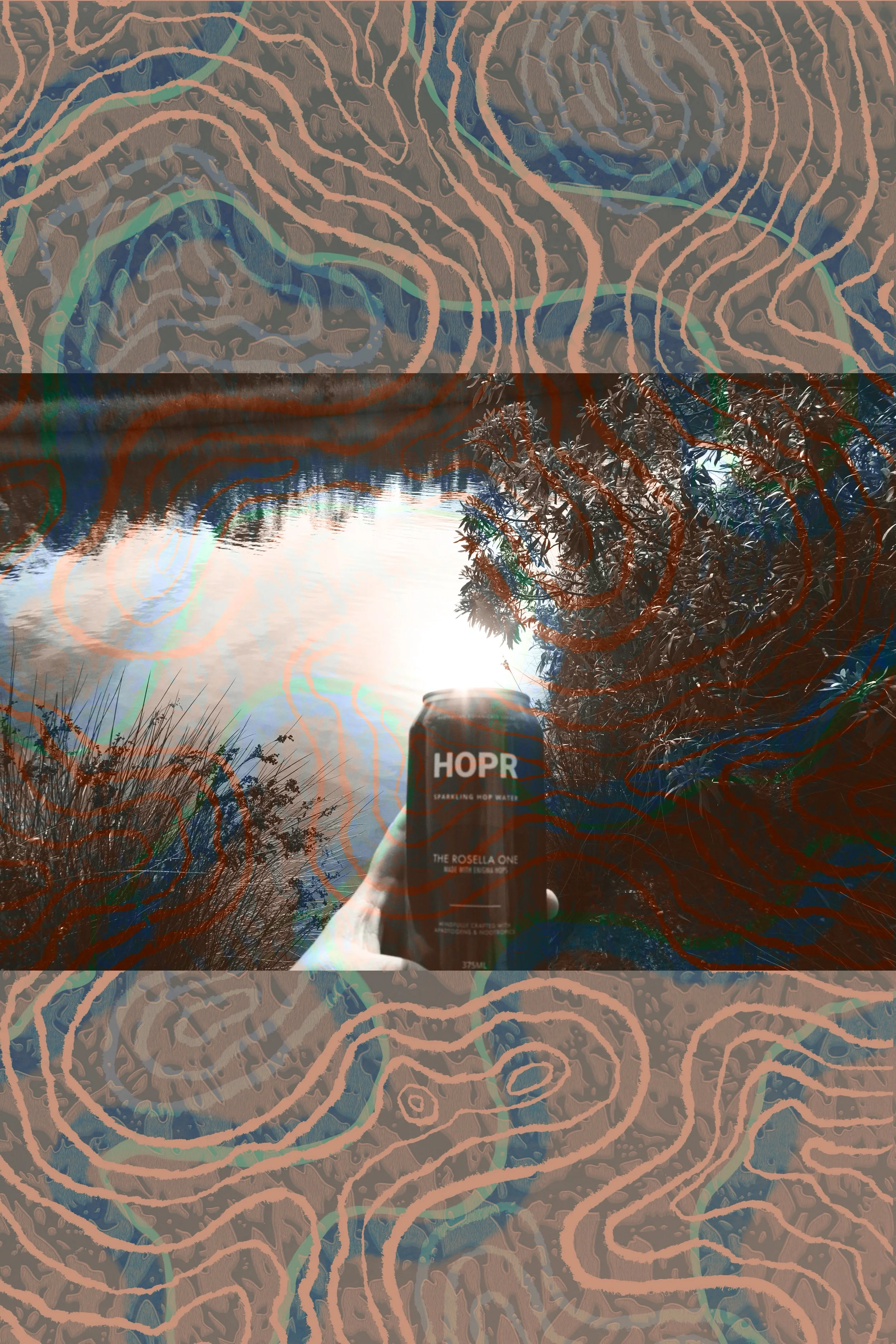 IMG_4360.jpeg