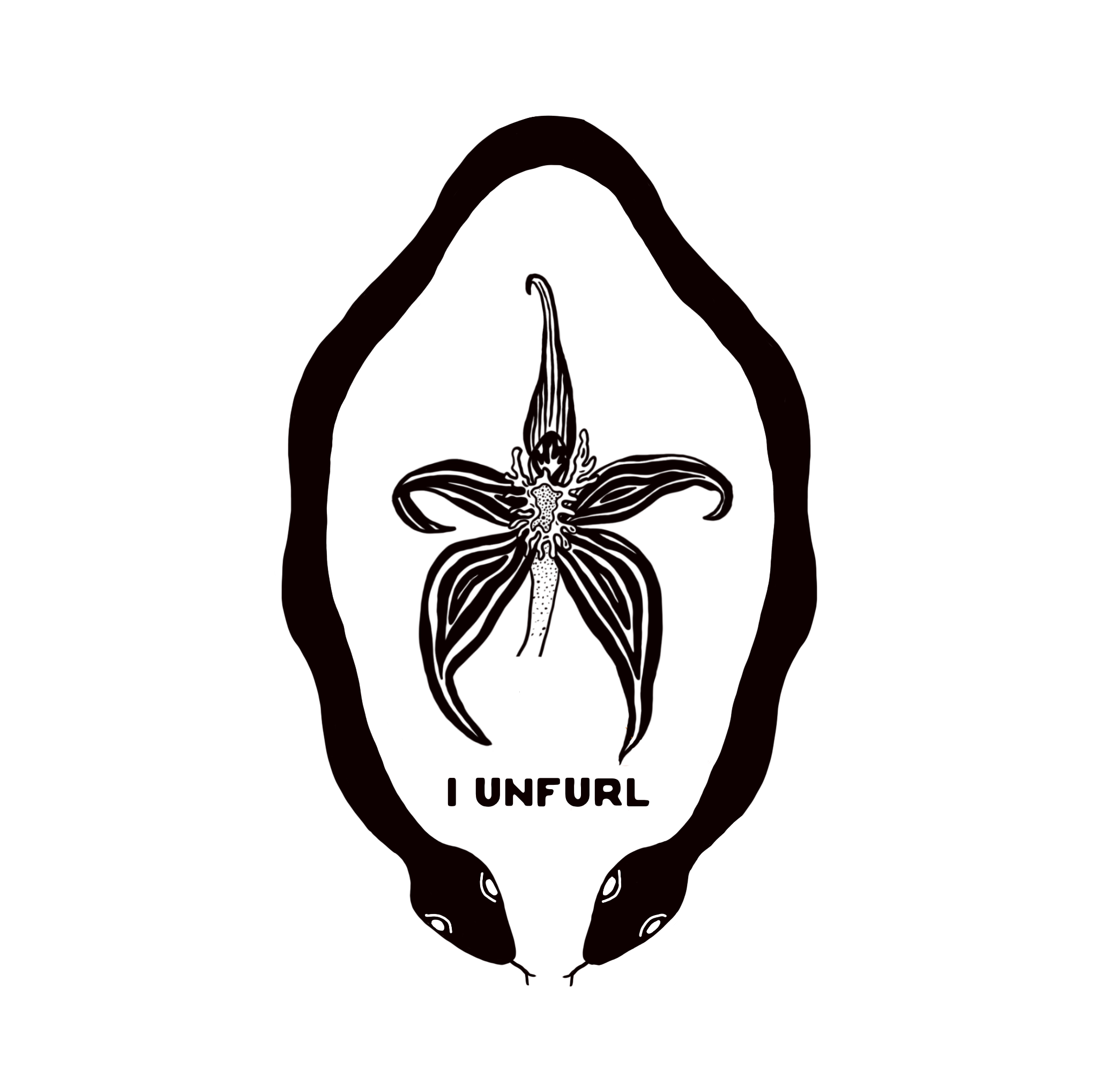 IMG_3988.png