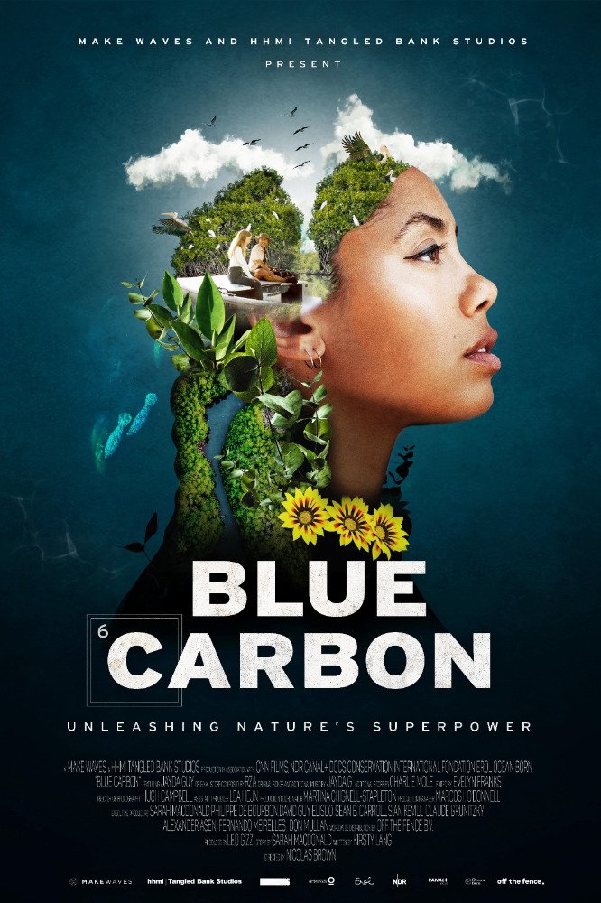Blue Carbon.jpg