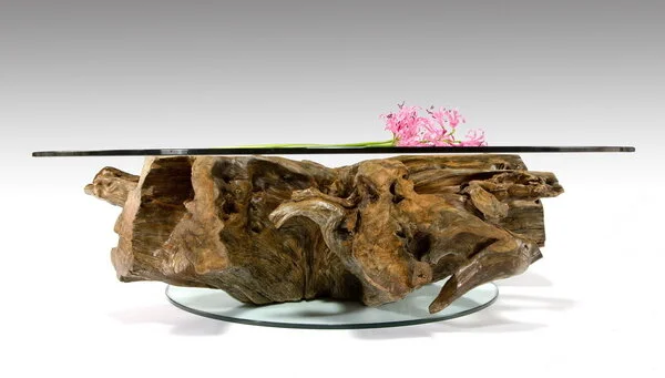 18- Root 2.jpg