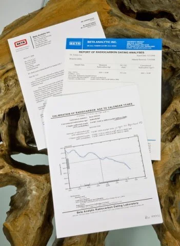 Dendrochronology (1).jpg