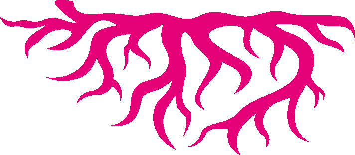 root only.png