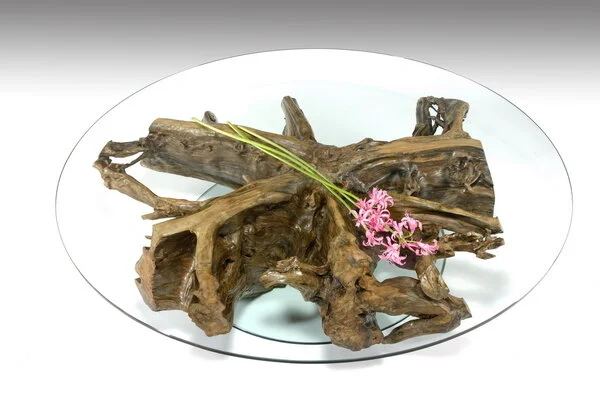 17- Root 2.jpg