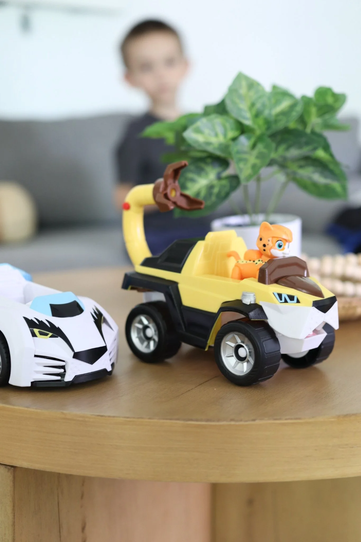 The Cat Pack is here!