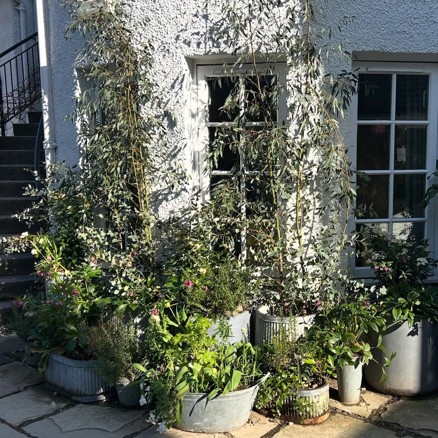 We couldn&rsquo;t have been luckier with the weather whilst in Scotland last week&hellip;. We stayed a night in @themhorcollection which was soooo cool and oh my days with most delicious food!!! We &lsquo;swam&rsquo; in the loch (mainly made a lot of