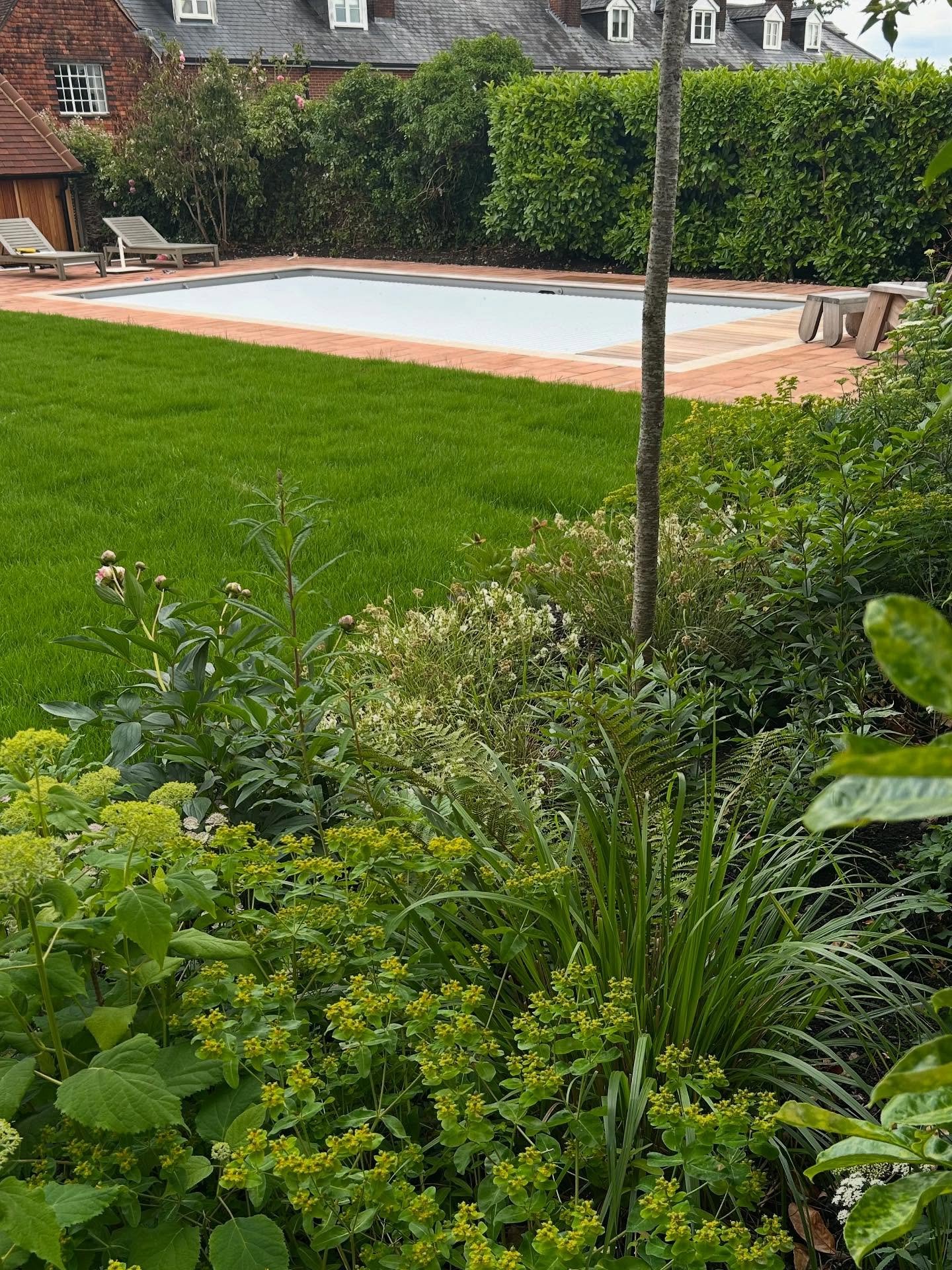 Just in time for a scorching English summer! I'm so happy how this pool area has turned out, especially the larger terracotta pavers with reclaimed brick edging - tying in beautifully with brick in the house and paving. Excellent work by @greenerland