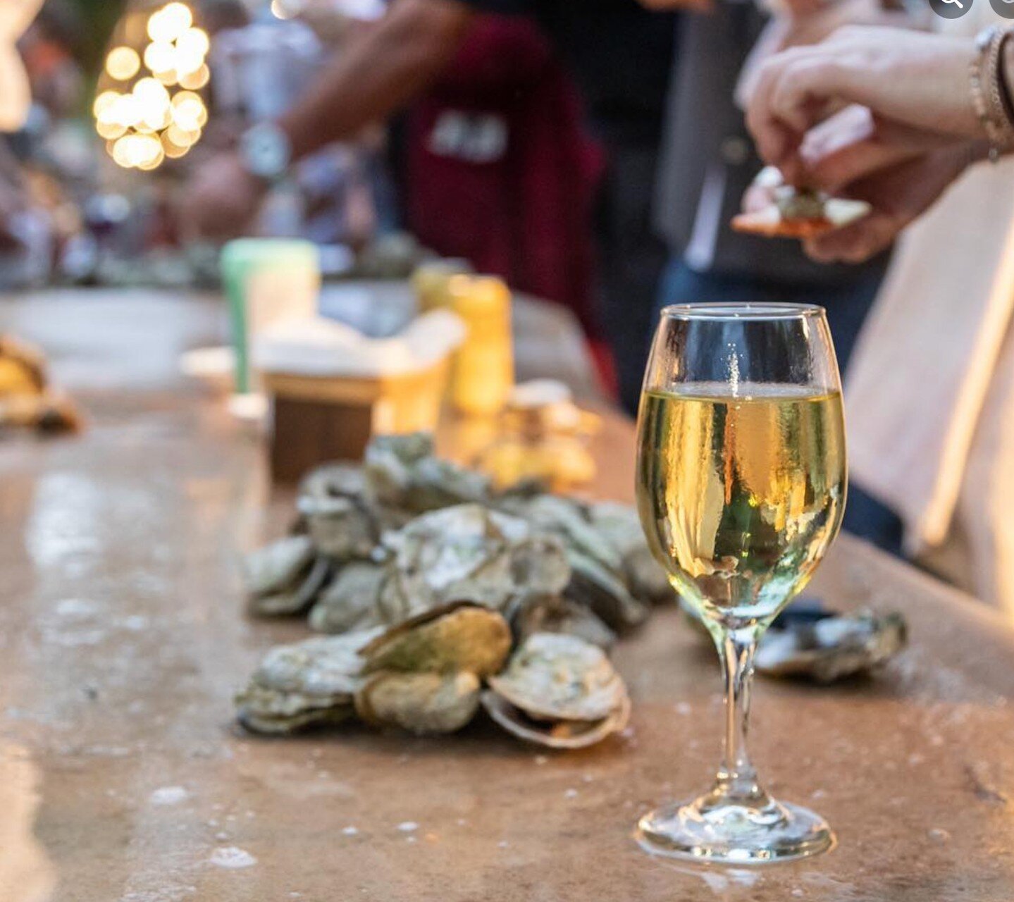 Did you know that we offer sponsorship opportunities for our Oyster Roast? This is our premier fundraising event of the year! However, tickets are limited and we have sold out in the past. With your  sponsorship package, you are eligible for free tic