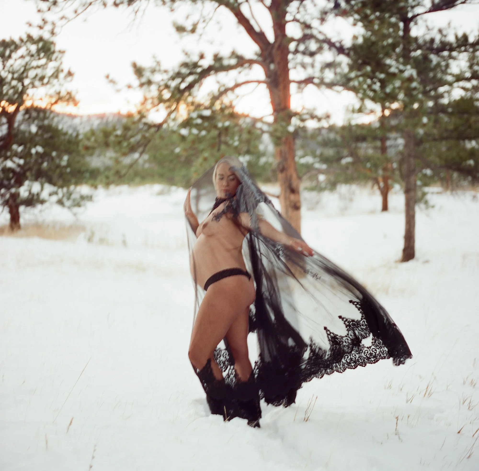 Black lace veil catching wind over snow, the bump bare and the woods pale behind her.
