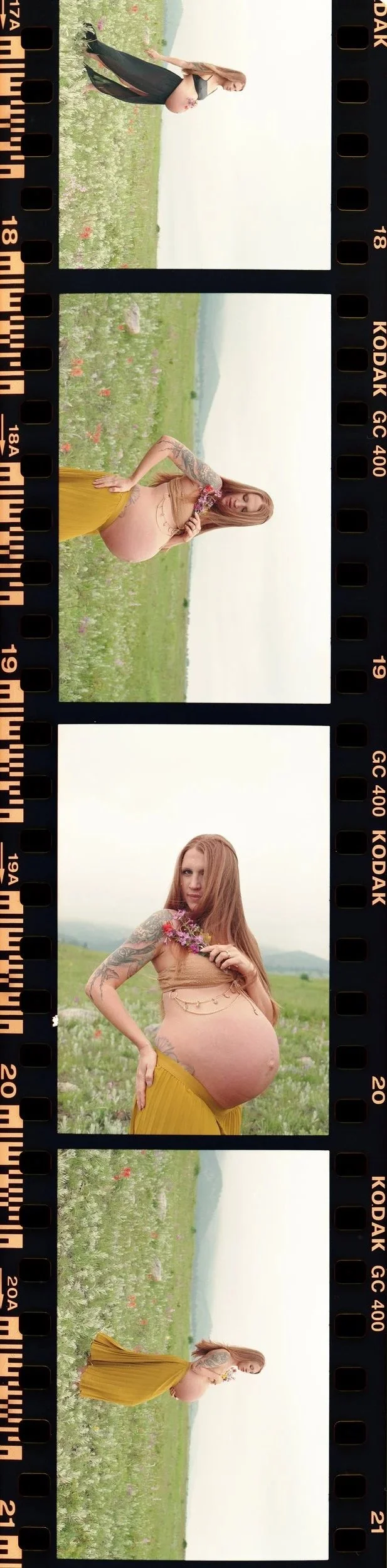 Uncut strip of 35mm color negative, four meadow frames with edge markings and numbers.