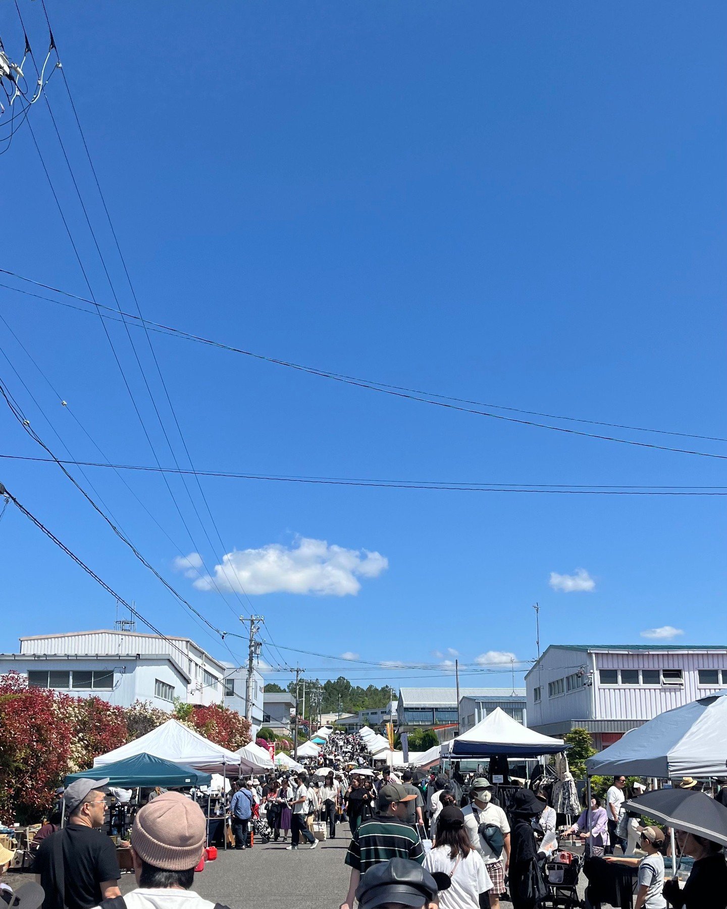 Hi, this is Mizuyo checking in from Japan. I'm enjoying the warmer and sunnier climate here, although some days are surprisingly chilly. 

We've had a big holiday season 'Golden Week' spanning from April 28th to (usually) May 5th. Some manage to have