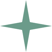 A green four-pointed star-shaped graphic.