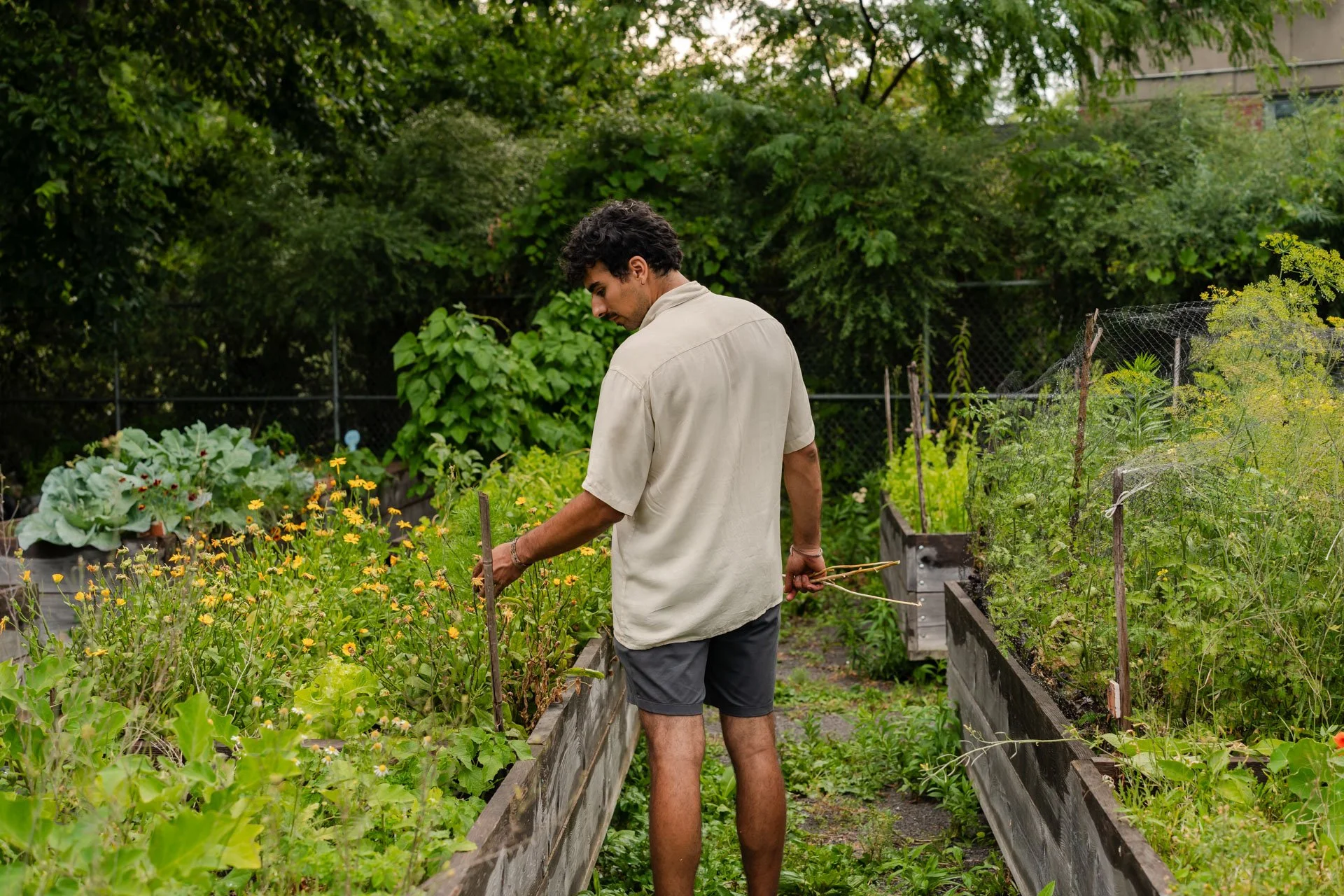 De la terre à la terre : Cultiver le vivant