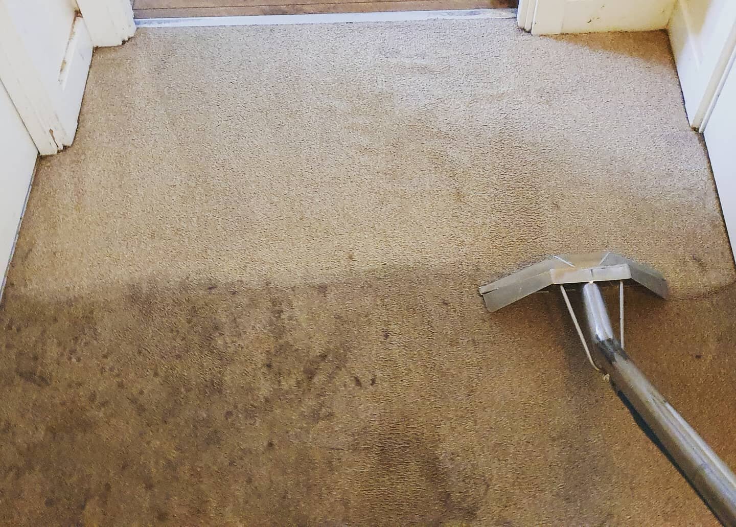 Huge transformation on this carpet today in Erith.