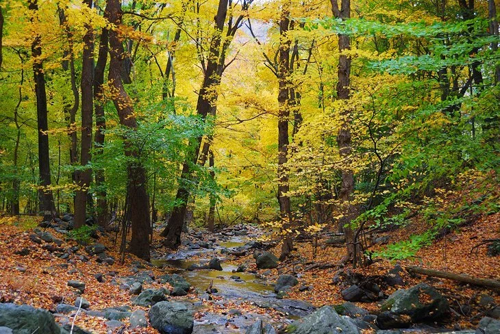 Cedar Avenue Psychotherapy