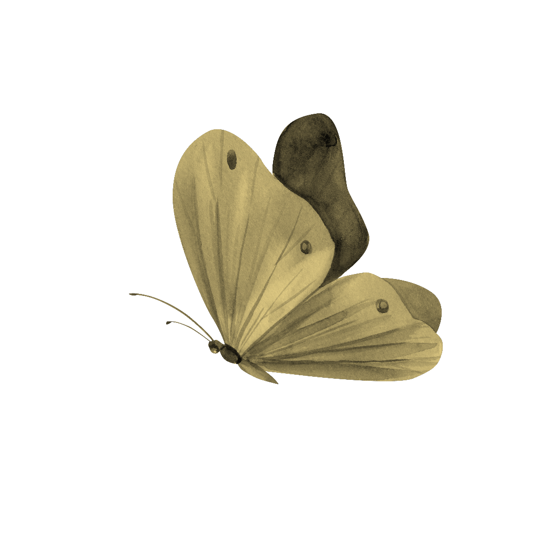 Papillon