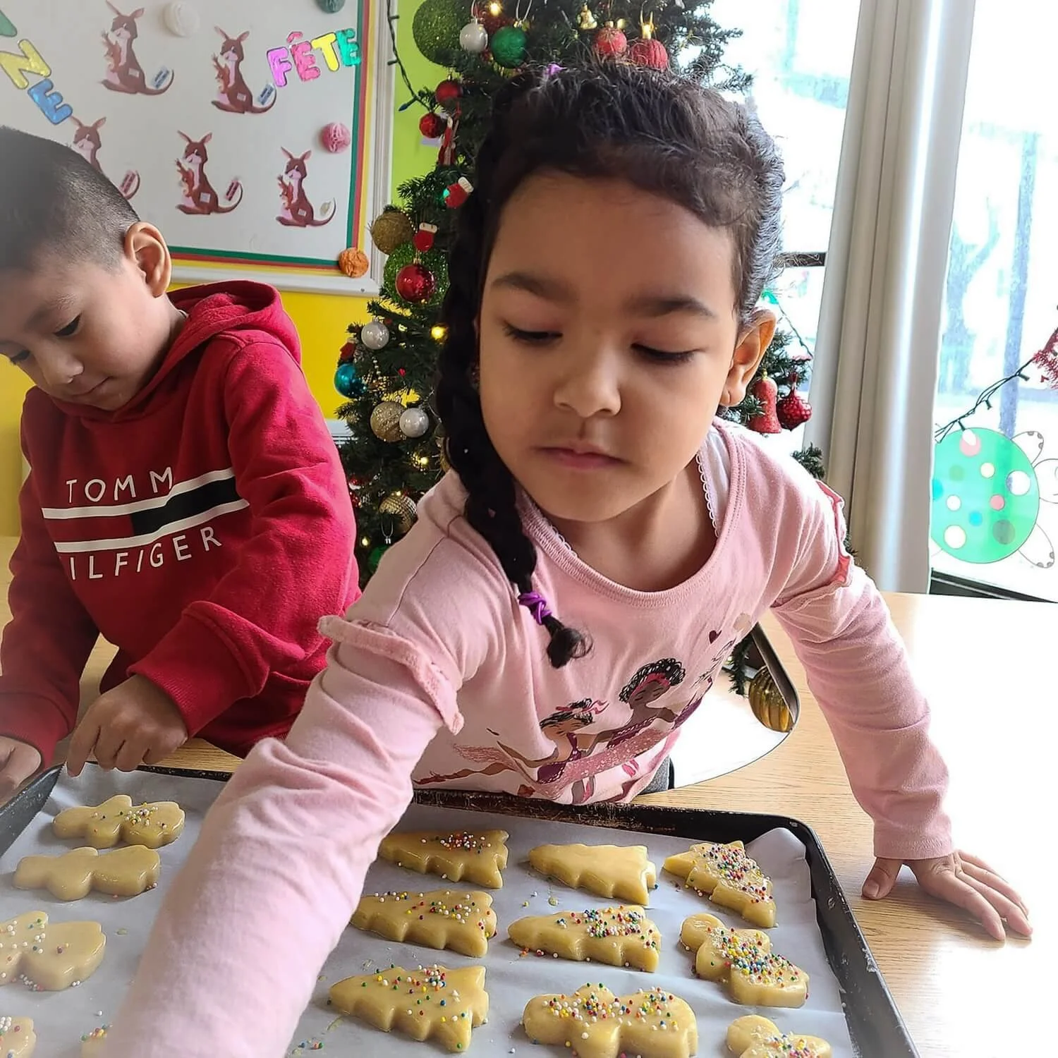 xmas cookies-2 (1).jpg