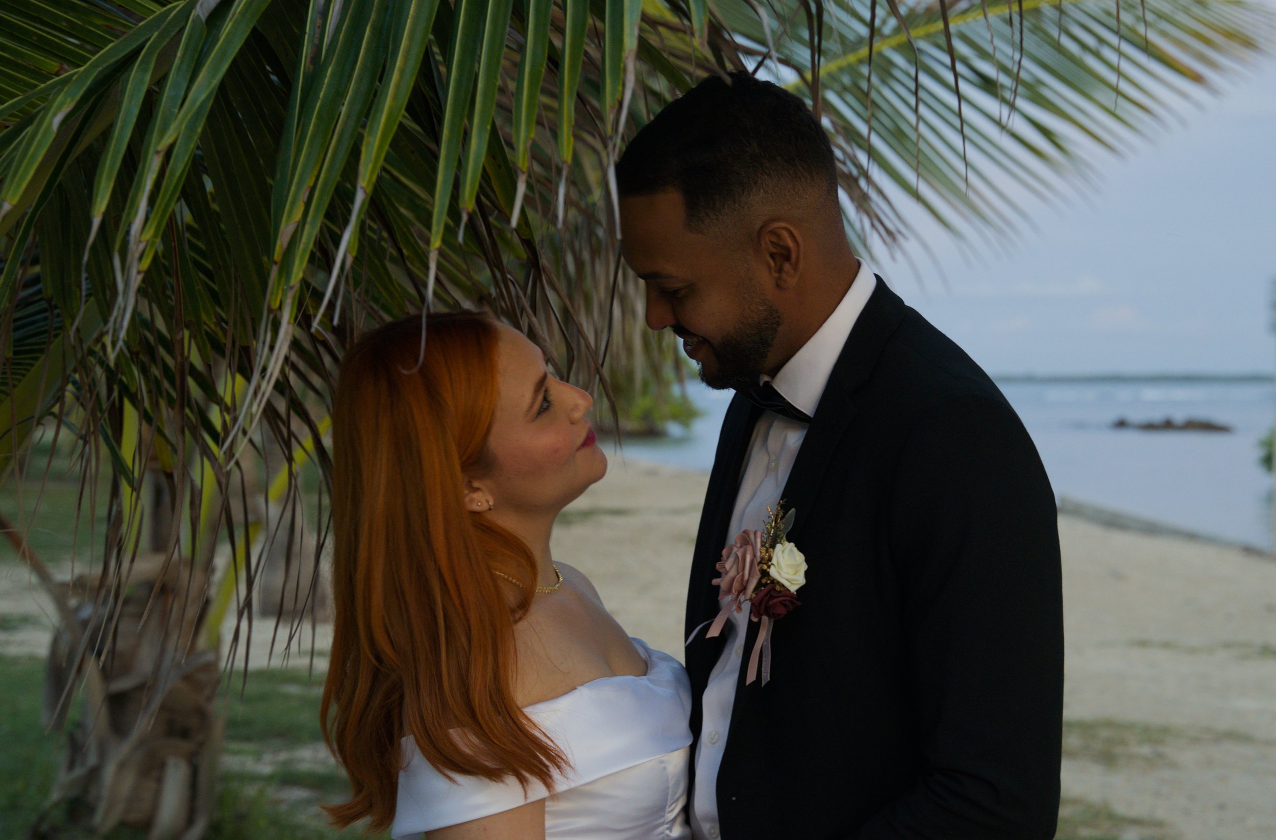 A couple dressed in wedding attire on a beach, standing beneath a palm tree, facing each other with their foreheads close, smiling and looking into each other's eyes.