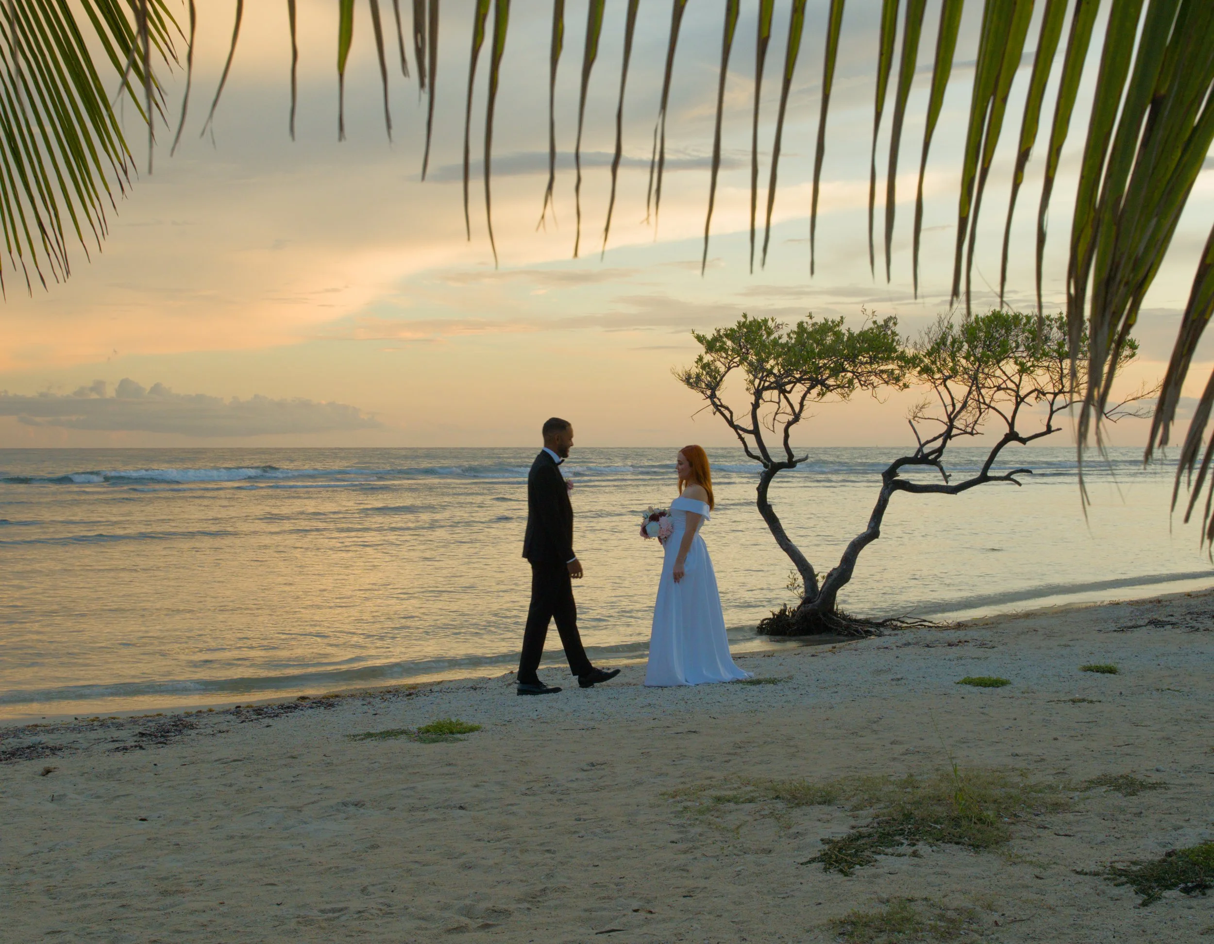 A bride and groom walking along the beach in Puerto Rico at sunset, framed by palm leaves, with a small tree nearby and the ocean in the background.