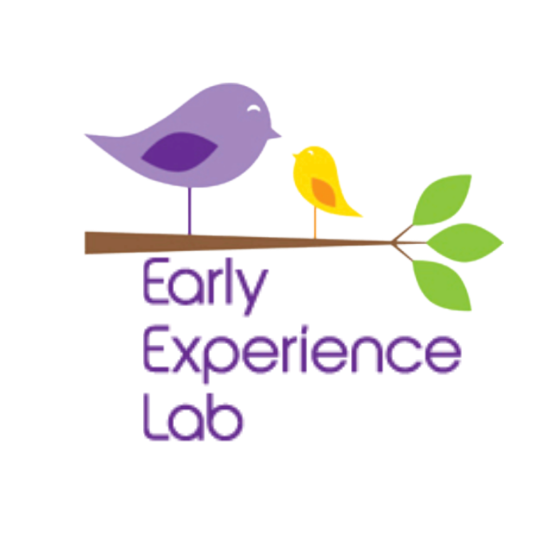 Early Experience Lab