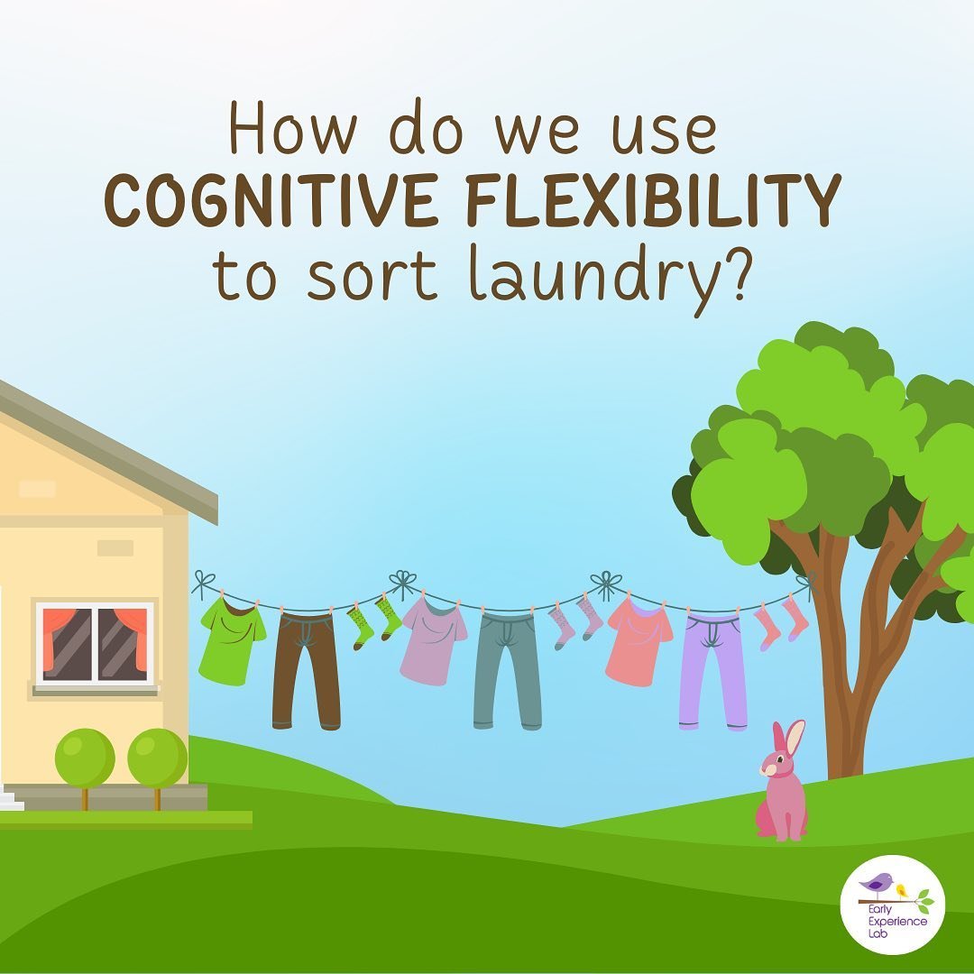 Ever wondered about the cognitive functioning that occurs when you sort laundry? Well we use cognitive flexibility, and it develops significantly from childhood to adulthood! 

Swipe to find out more about cognitive flexibility! Also, check out our s