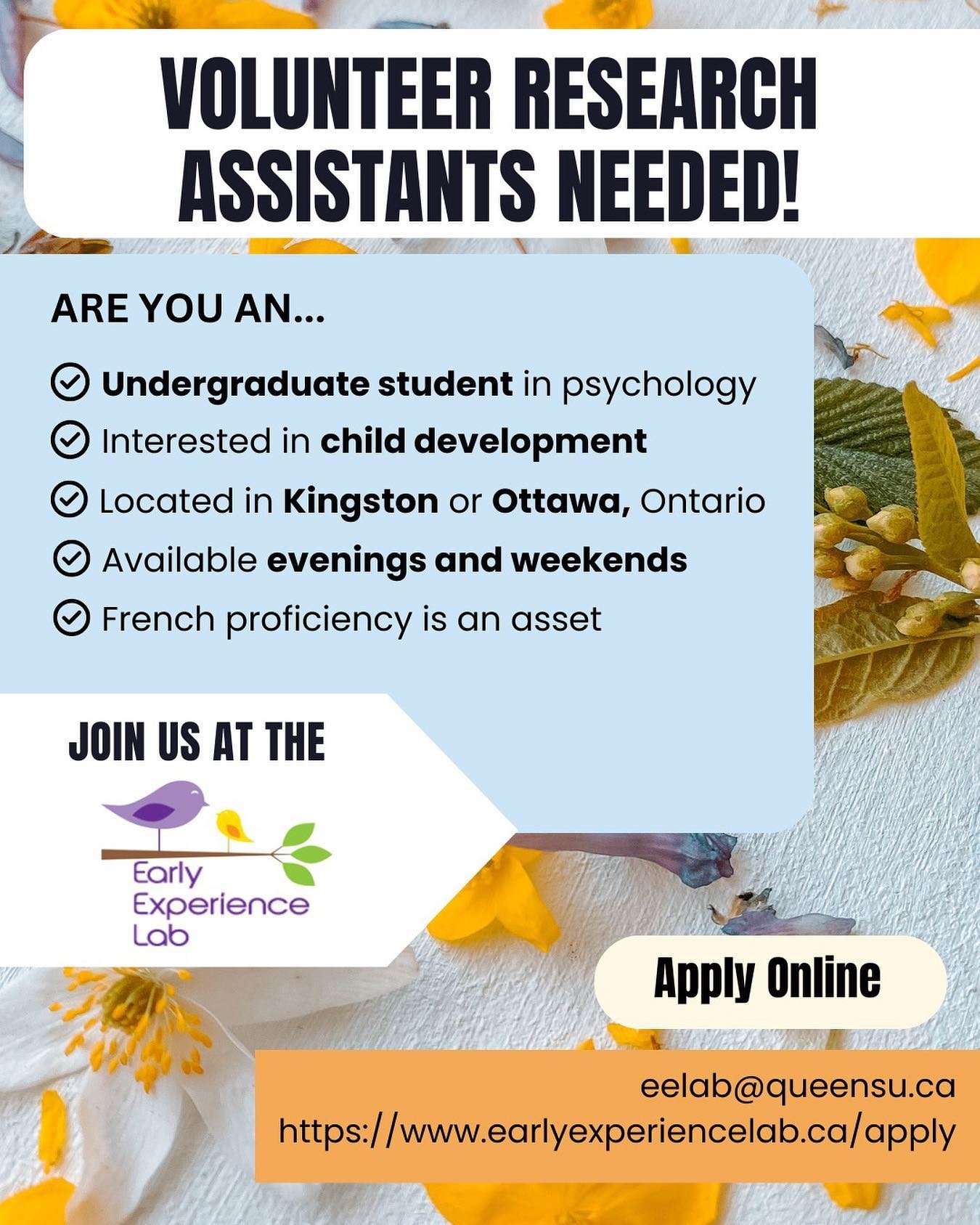 The Early Experience Lab at Queen&rsquo;s University is looking for volunteer research assistants for the months of May to August! Undergraduate students in the Early Experience Lab help with recruiting new families, running study appointments, codin