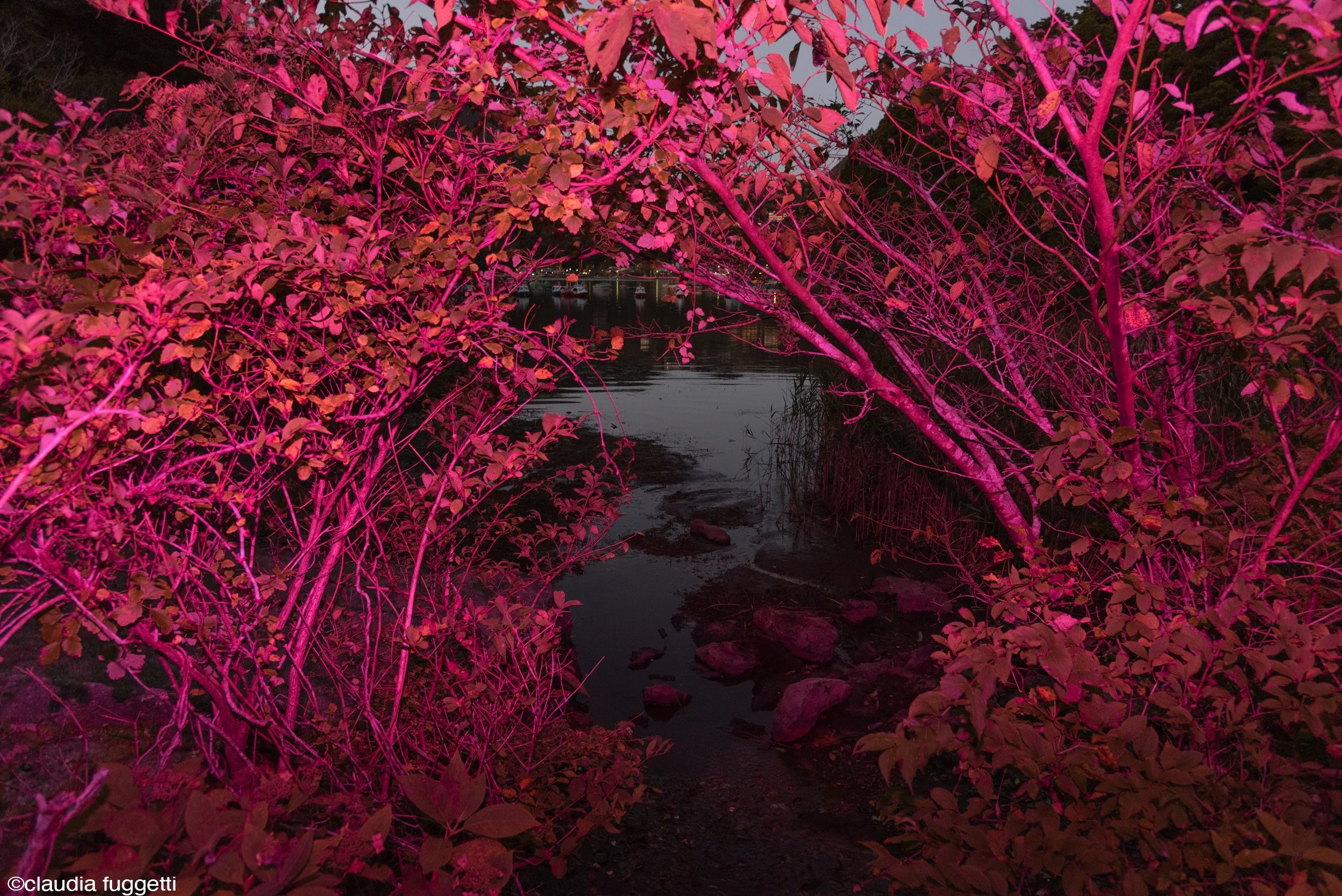 09-see-zeen-019-A-Visual-Dialogue-Fuggetti_Claudia_Visual Alterations_05.jpg