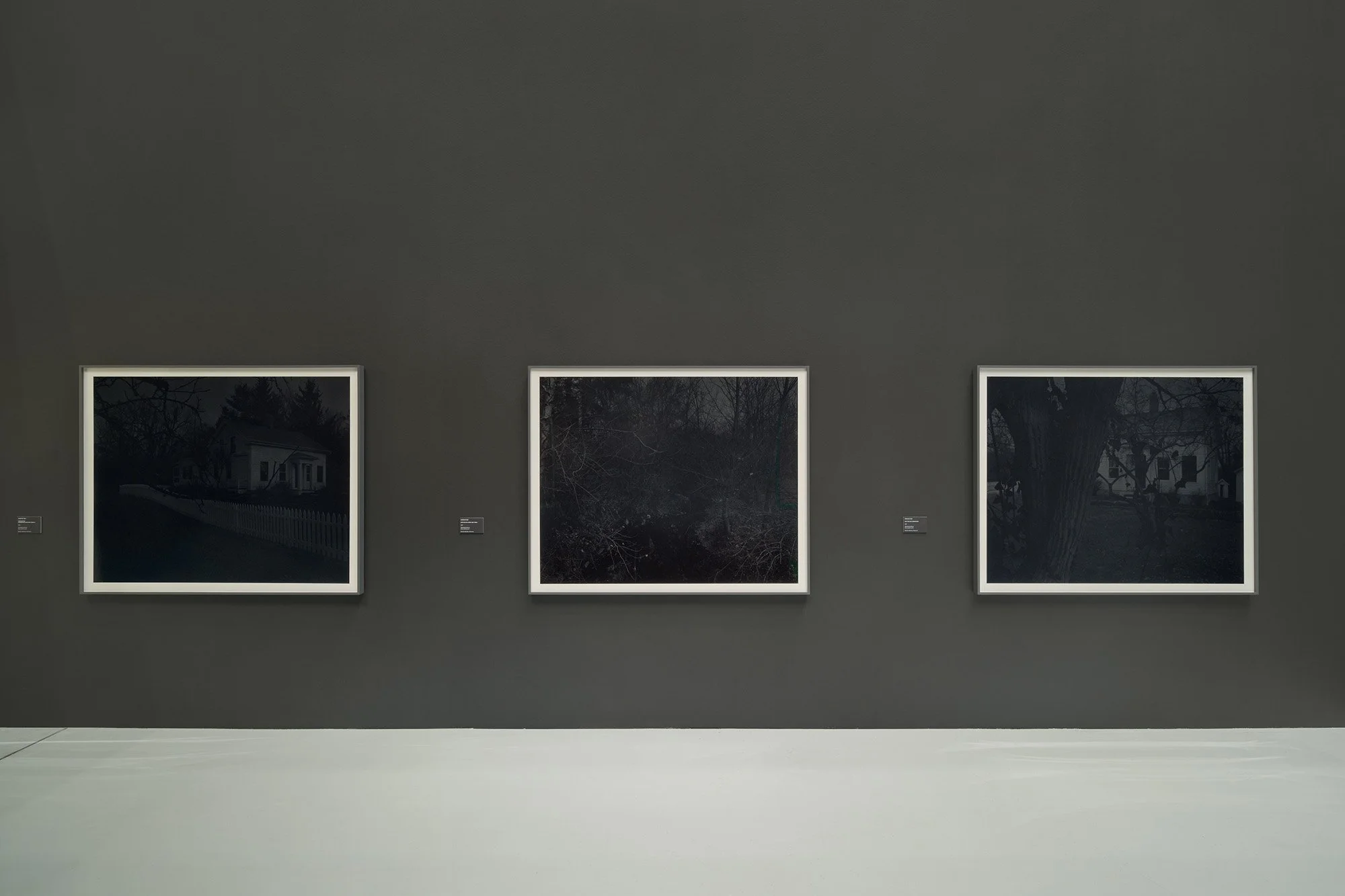 see-zeen-020-Triennial-Hamburg-_Alliance Infinity Love_Dawoud_Bey_2850.jpg