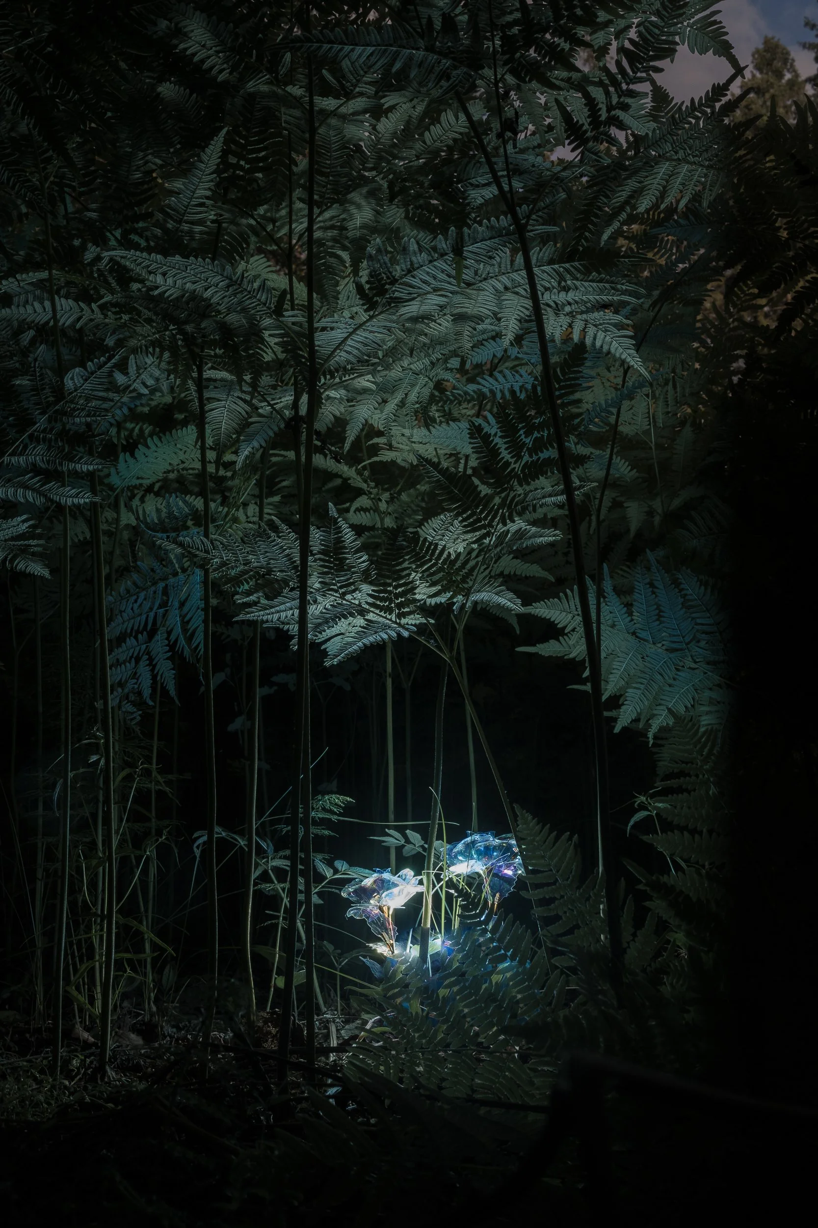 see-zeen_019_ Natasha_Lozinskaya_Treasure_Trove-14.JPG