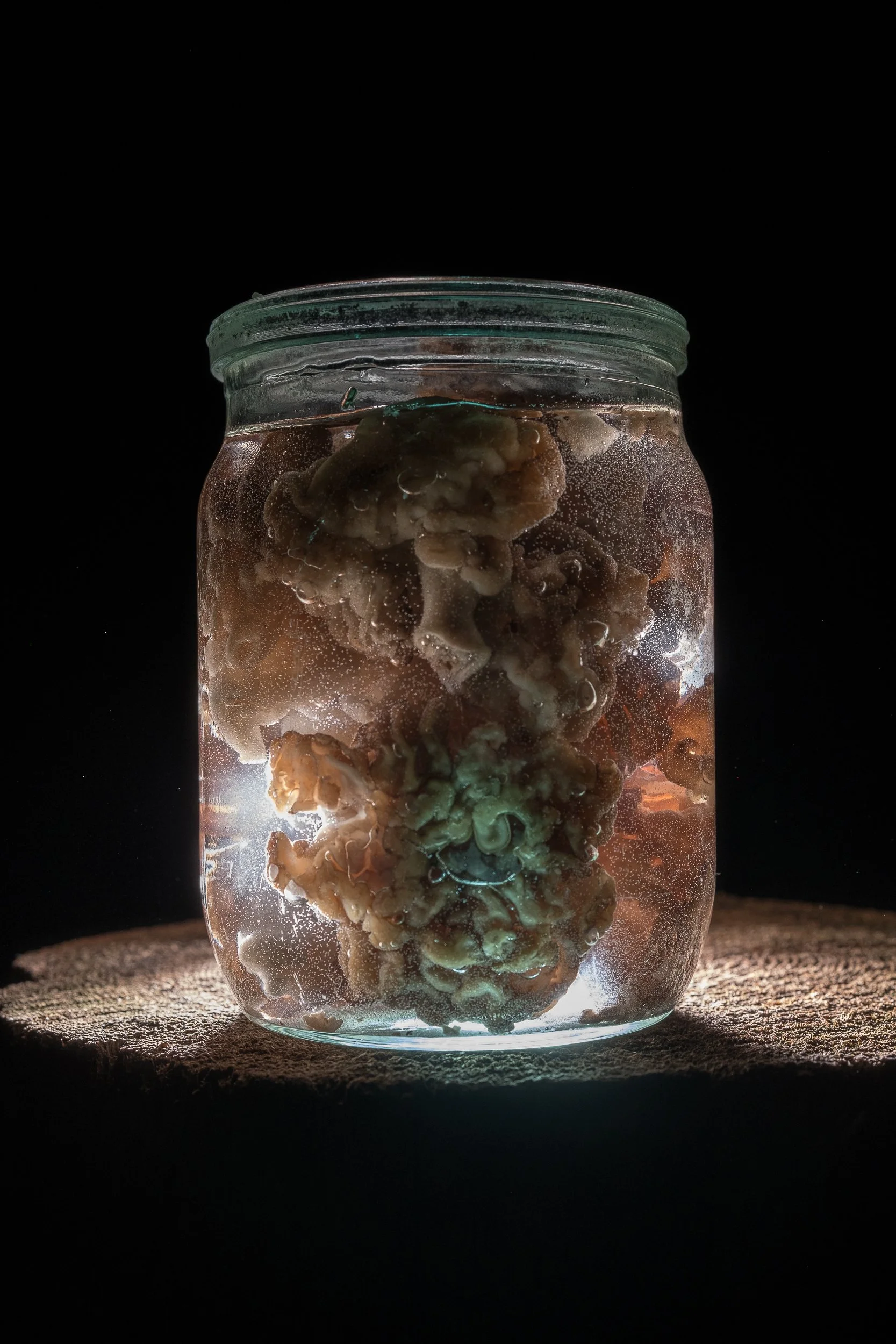 see-zeen_019_ Natasha_Lozinskaya_Treasure_Trove-06.JPG