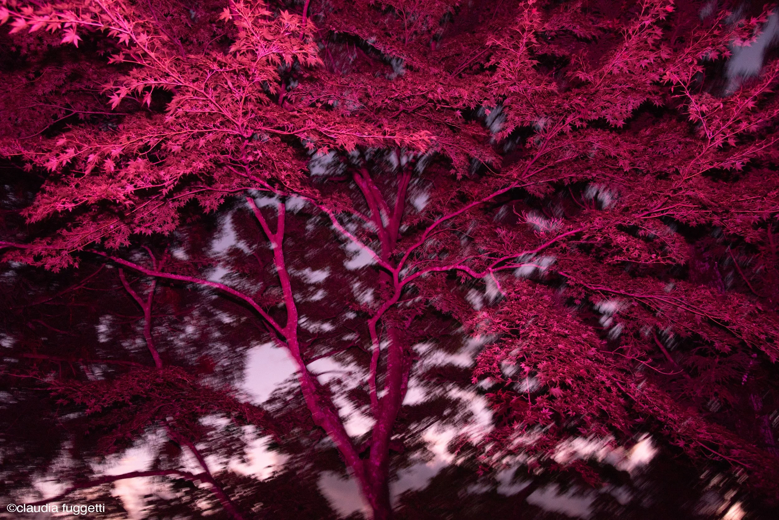 01-see-zeen-019-A-Visual-Dialogue-Fuggetti_Claudia_Visual Alterations_01.jpg