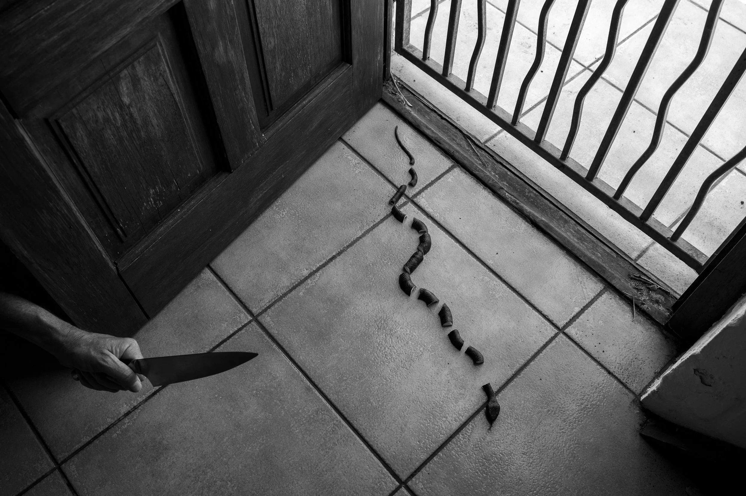 see-zeen_019_ Peter_Brandt_Cleave-03.jpg